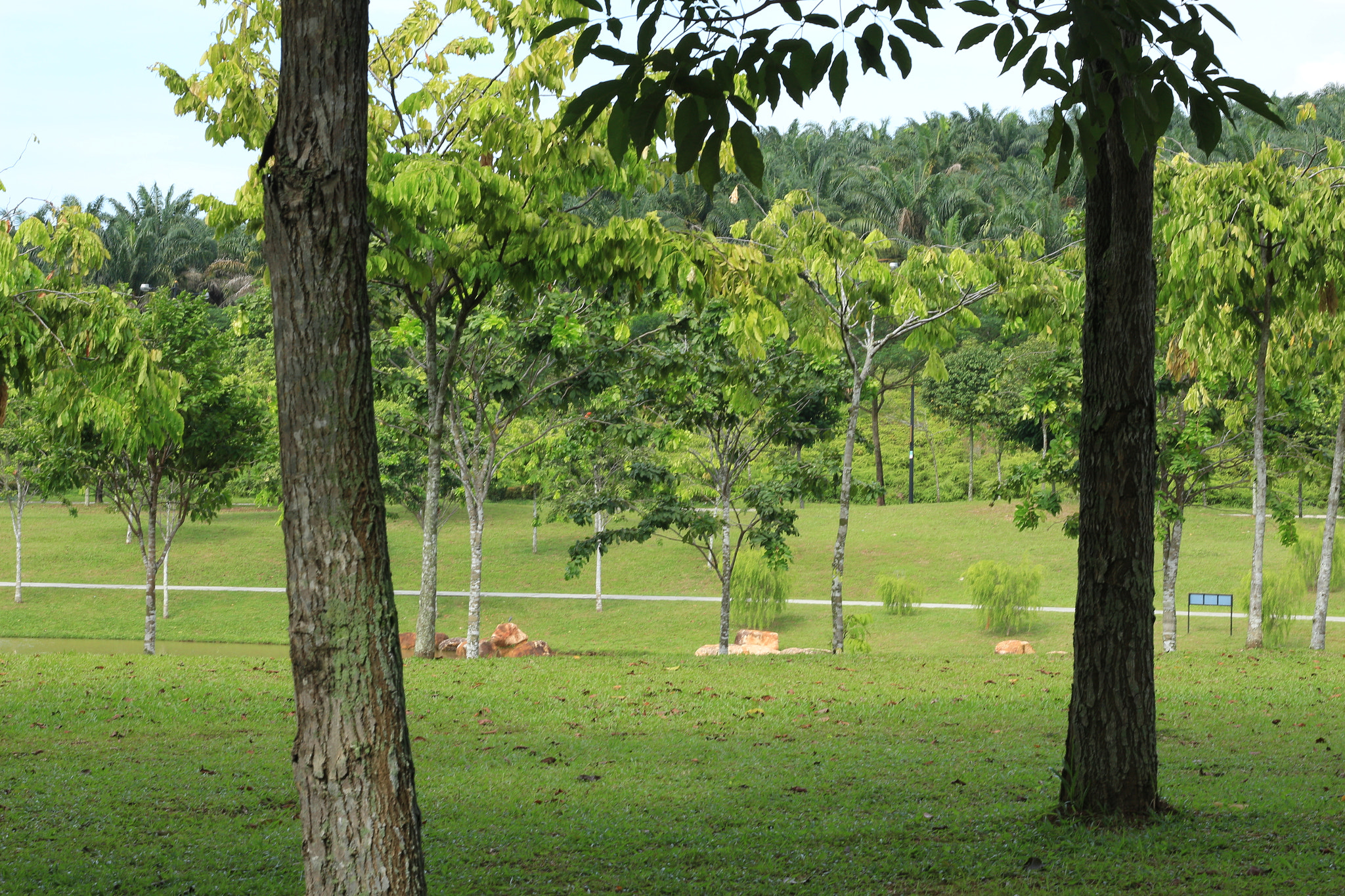 Canon EOS 700D (EOS Rebel T5i / EOS Kiss X7i) sample photo. Img photography