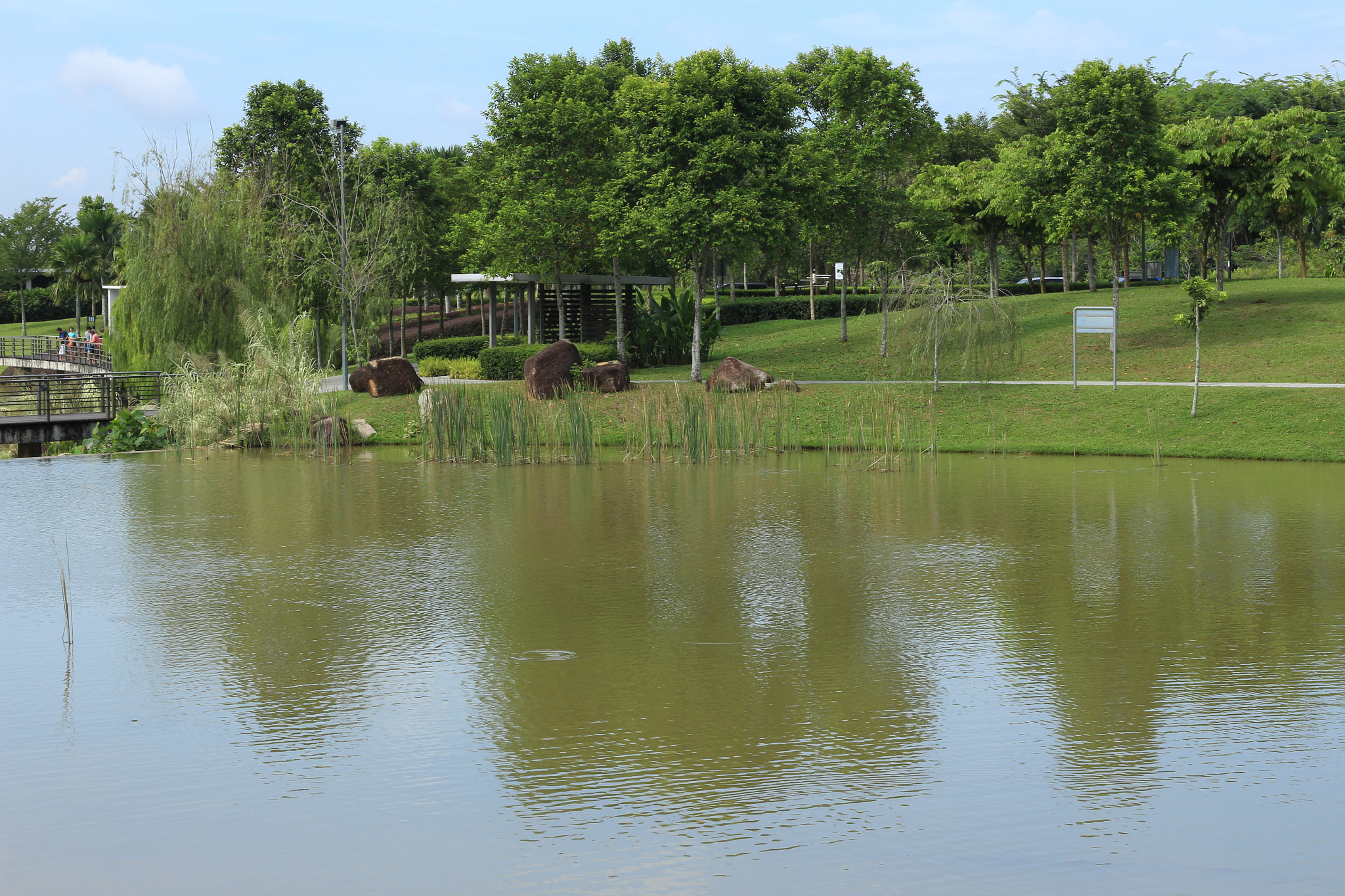 Canon EOS 700D (EOS Rebel T5i / EOS Kiss X7i) sample photo. Img photography