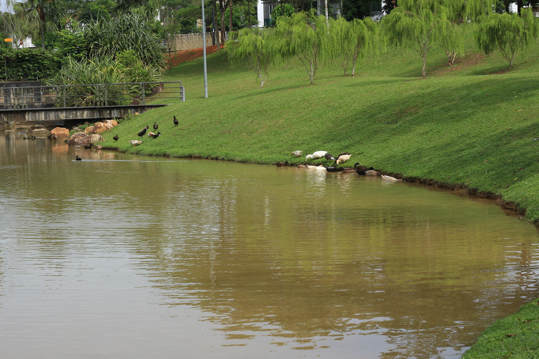 Canon EOS 700D (EOS Rebel T5i / EOS Kiss X7i) sample photo. Img photography