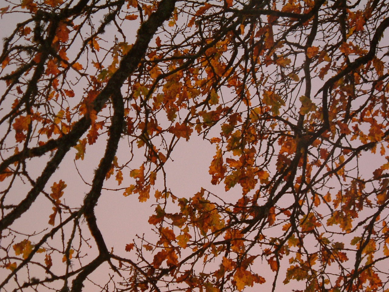 Fujifilm FinePix F401 sample photo. 23.jpg photography