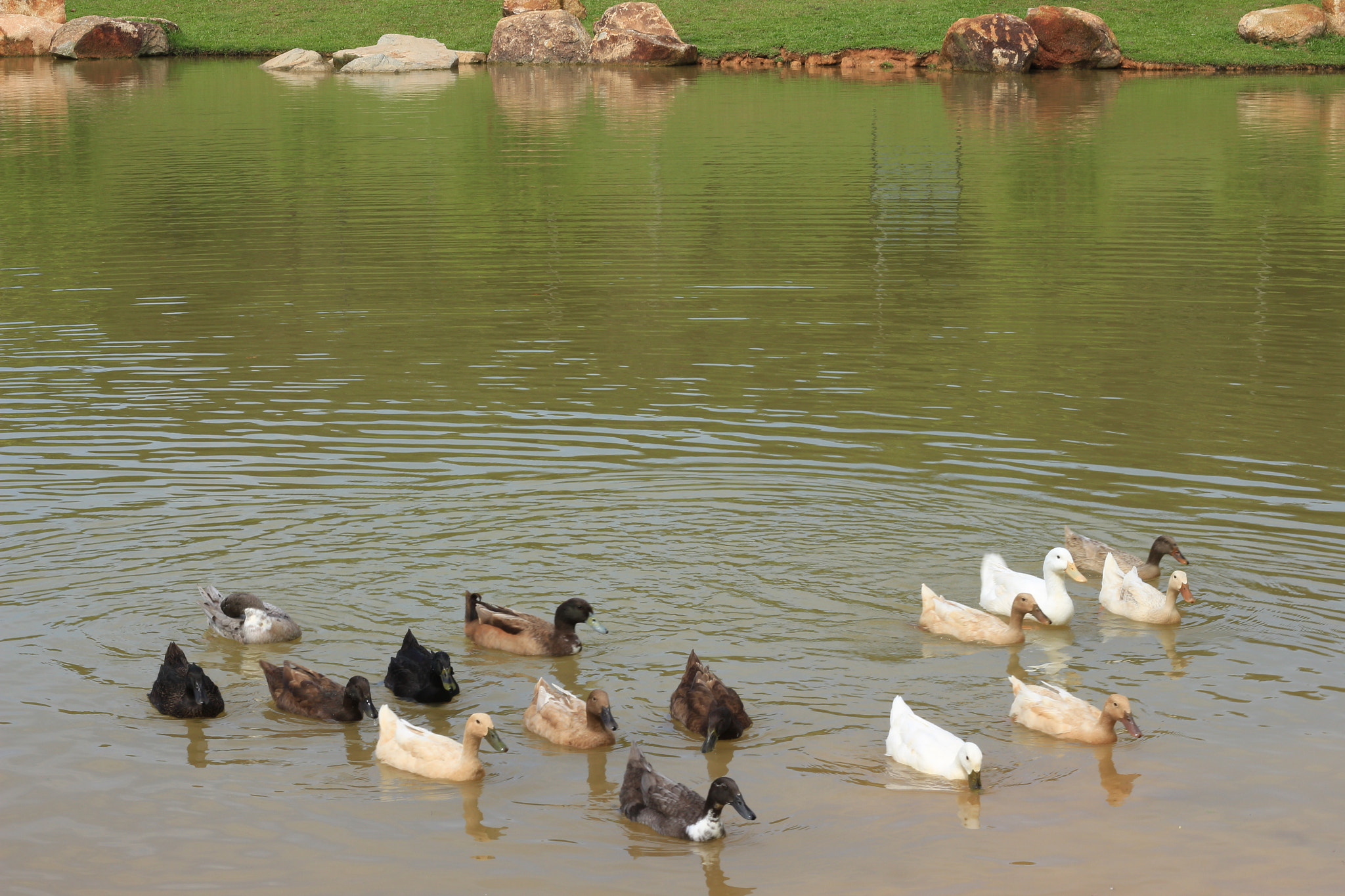 Canon EOS 700D (EOS Rebel T5i / EOS Kiss X7i) sample photo. Img photography
