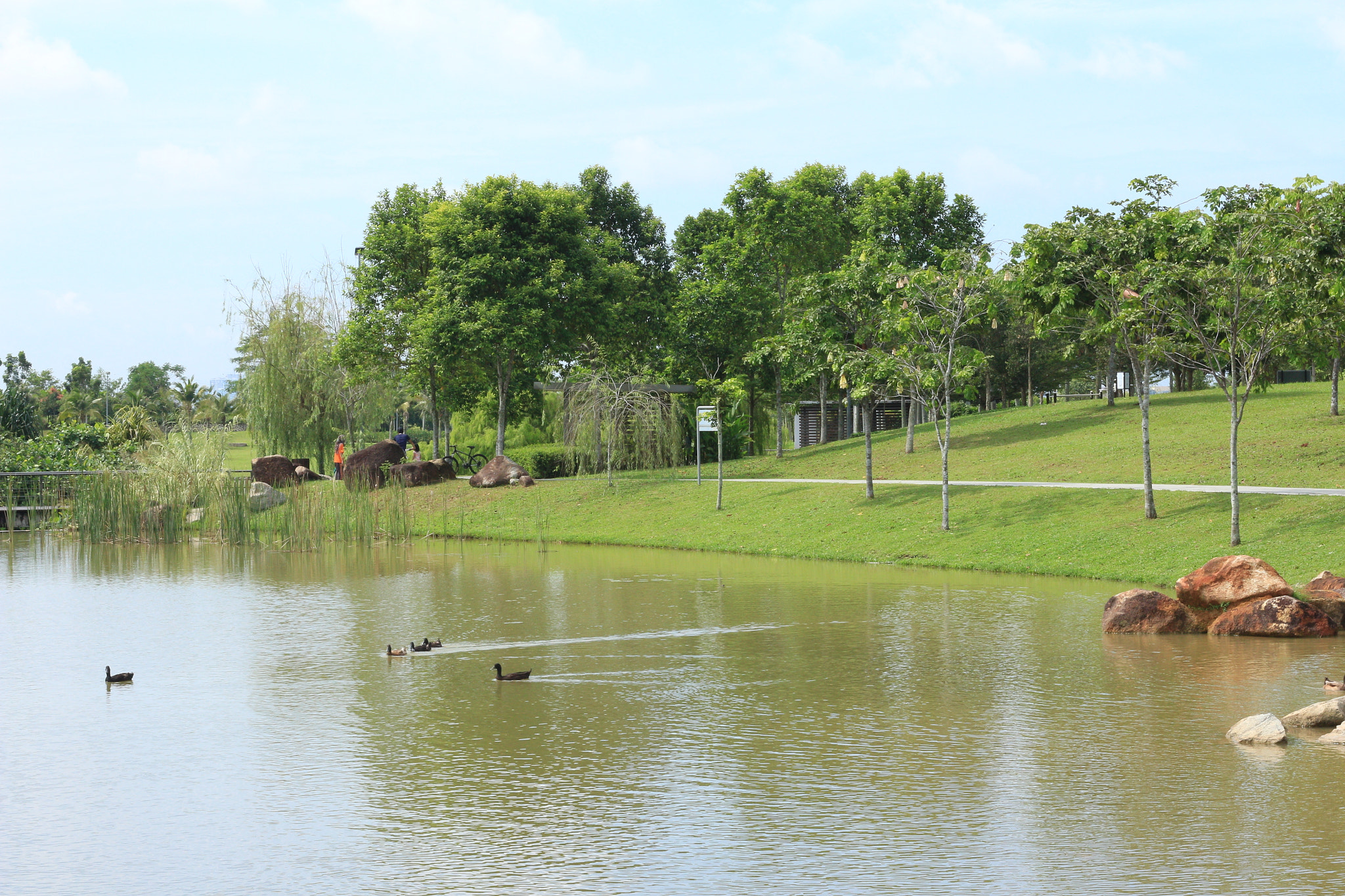Canon EOS 700D (EOS Rebel T5i / EOS Kiss X7i) sample photo. Img photography