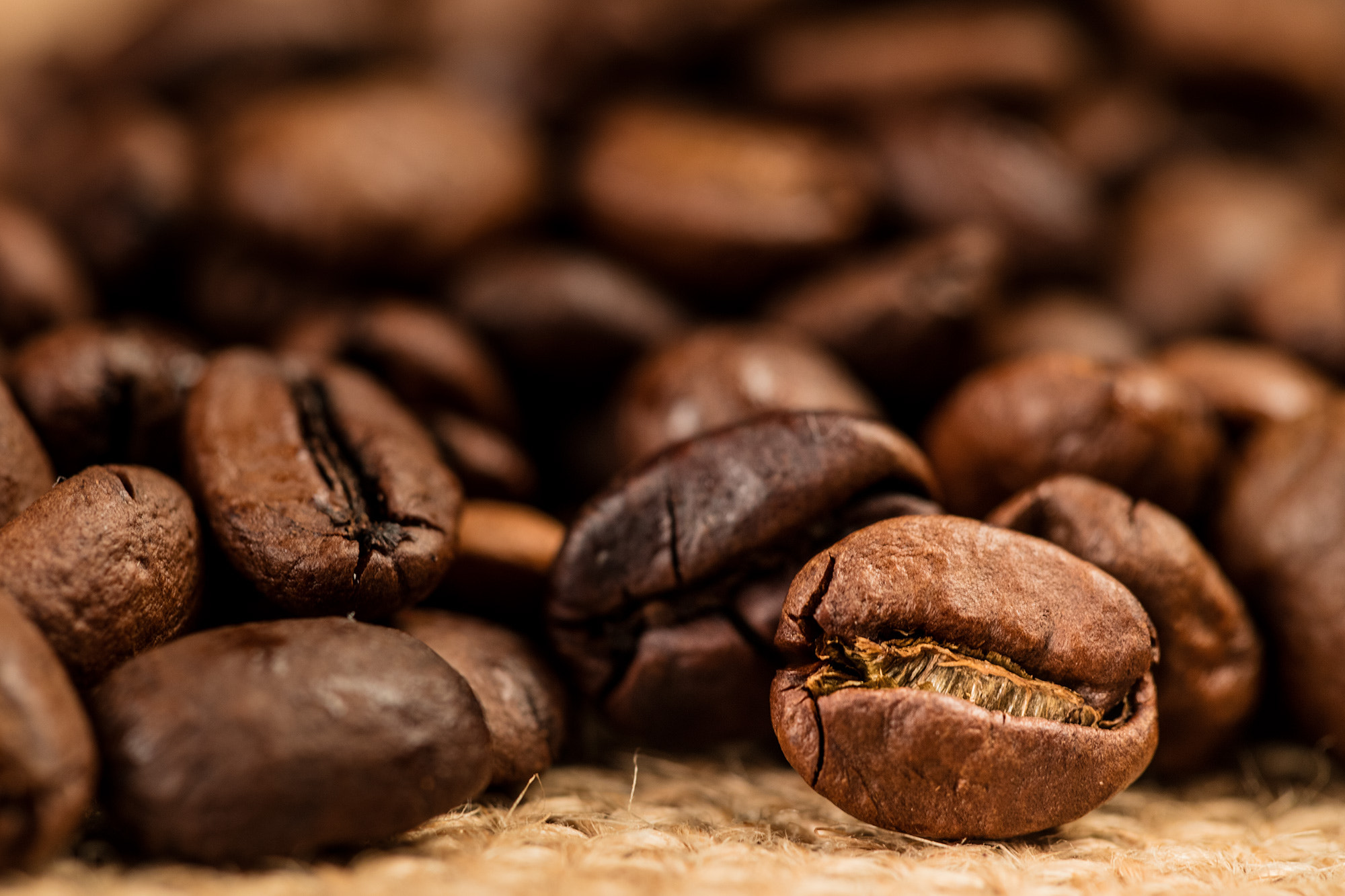 Sigma APO Macro 150mm f/2.8 EX DG HSM sample photo. Time for coffee photography