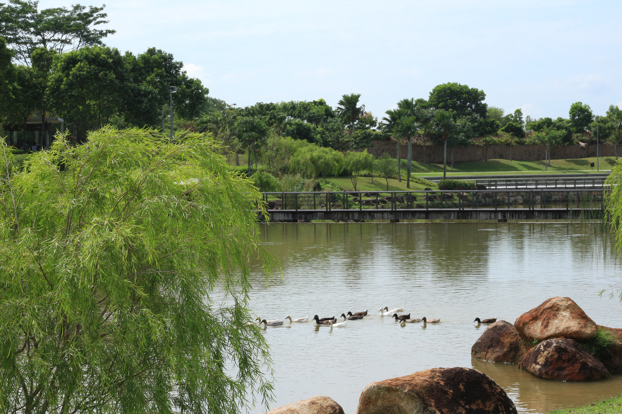 Canon EOS 700D (EOS Rebel T5i / EOS Kiss X7i) sample photo. Img photography
