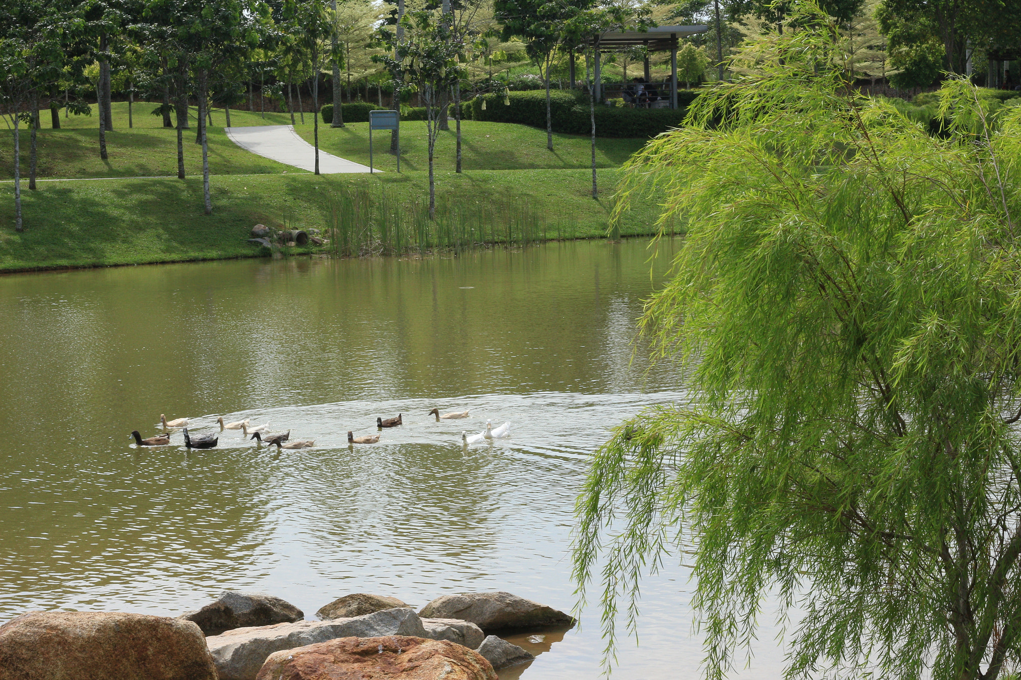 Canon EOS 700D (EOS Rebel T5i / EOS Kiss X7i) sample photo. Img photography