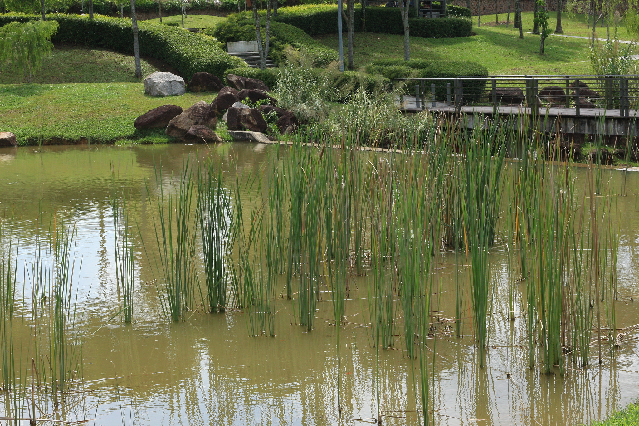 Canon EOS 700D (EOS Rebel T5i / EOS Kiss X7i) sample photo. Img photography