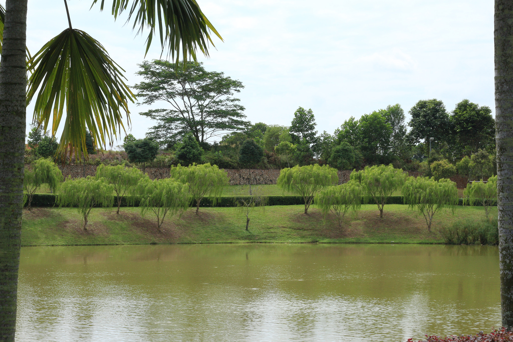 Canon EOS 700D (EOS Rebel T5i / EOS Kiss X7i) sample photo. Img photography