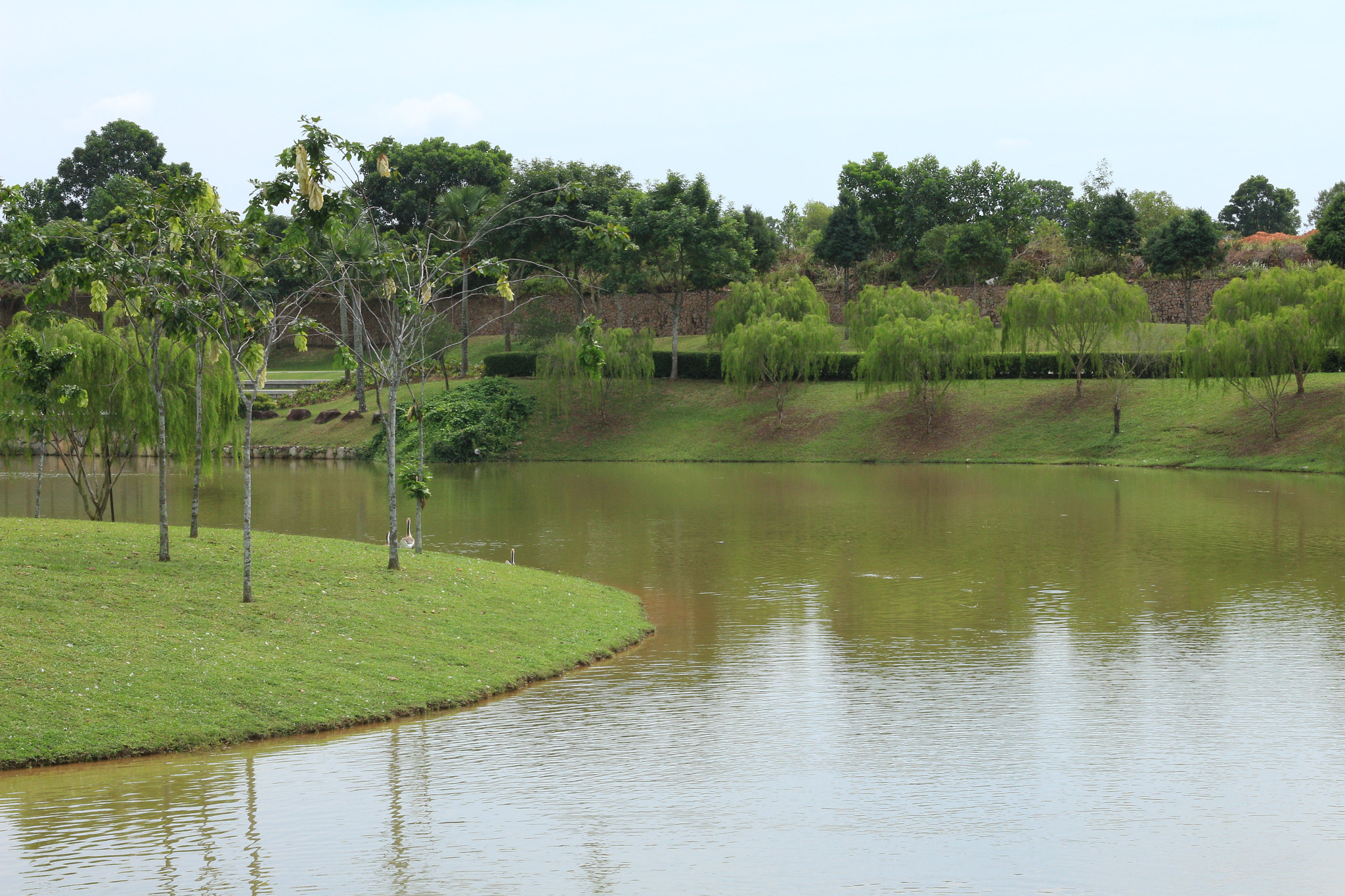 Canon EOS 700D (EOS Rebel T5i / EOS Kiss X7i) sample photo. Img photography