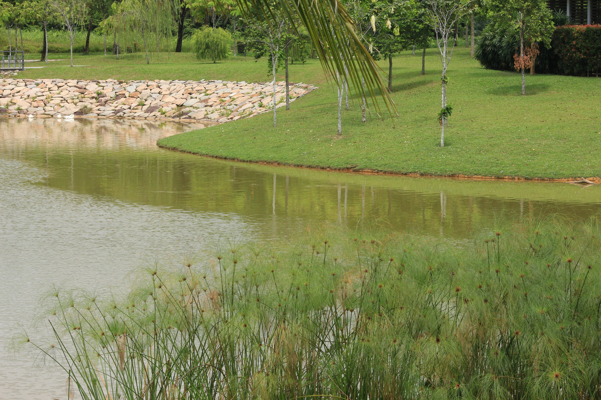 Canon EOS 700D (EOS Rebel T5i / EOS Kiss X7i) sample photo. Img photography
