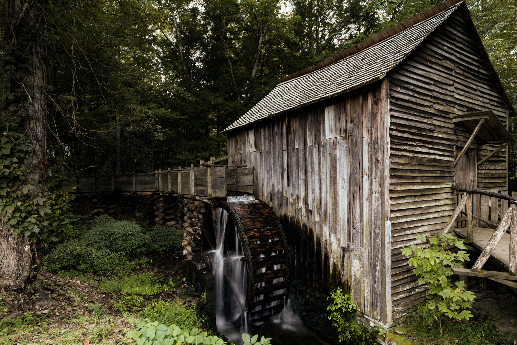 Nikon D810 sample photo. Cades cove mill photography