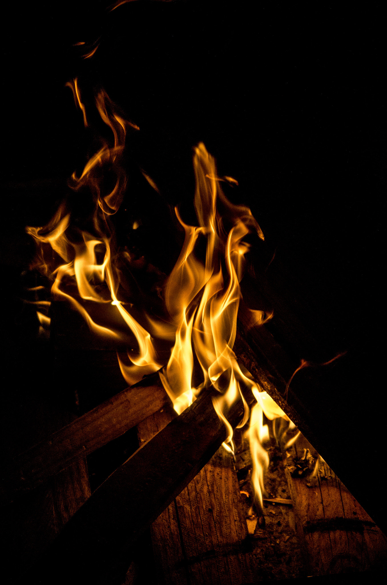 Pentax K-50 sample photo. Fire's colours photography