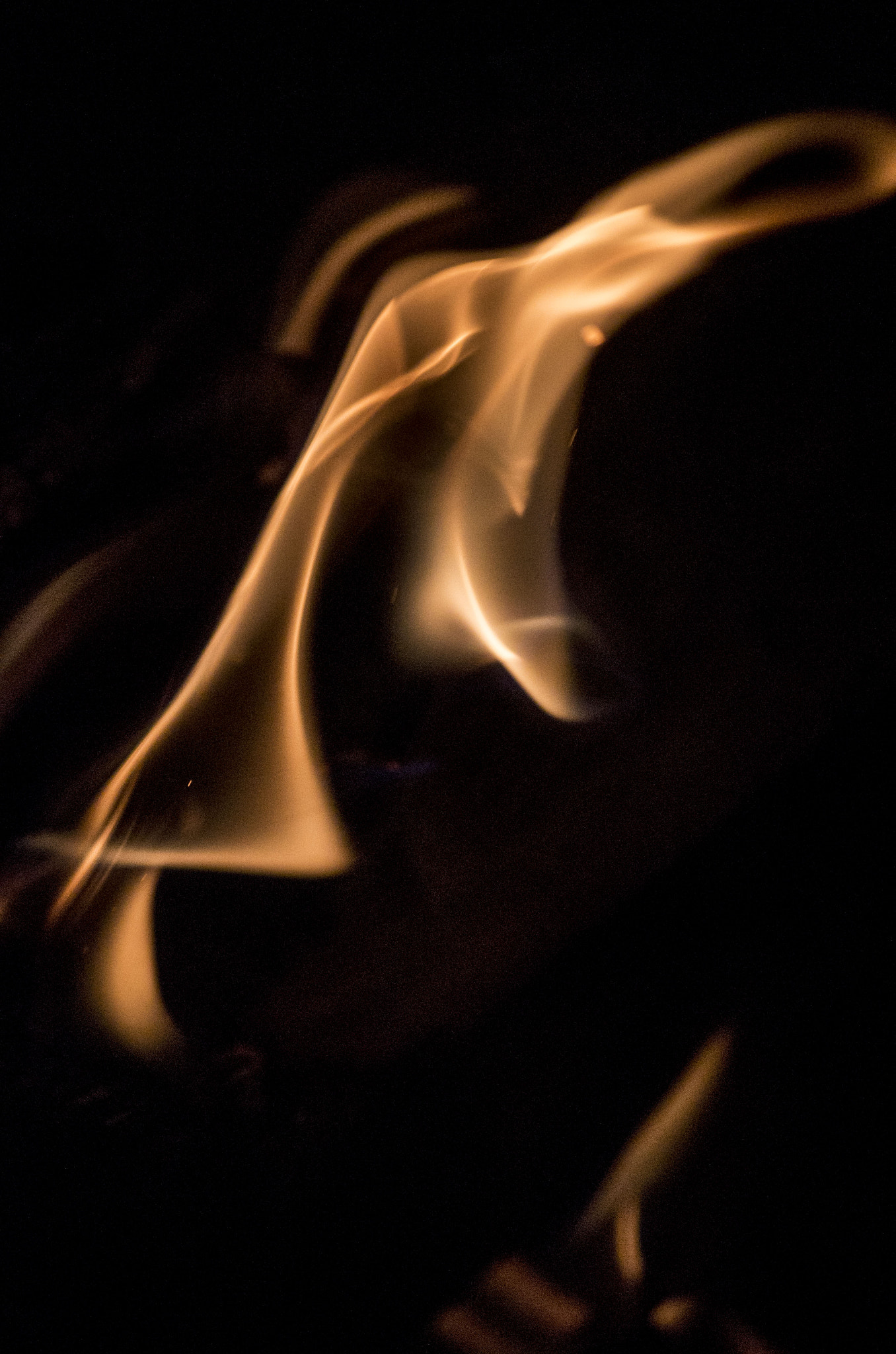 Pentax K-50 sample photo. Fire's colours photography