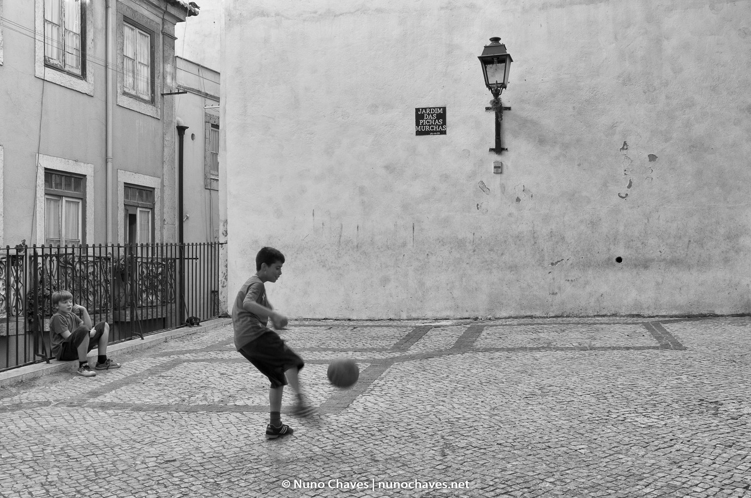 Nuno Chaves Portfolio
