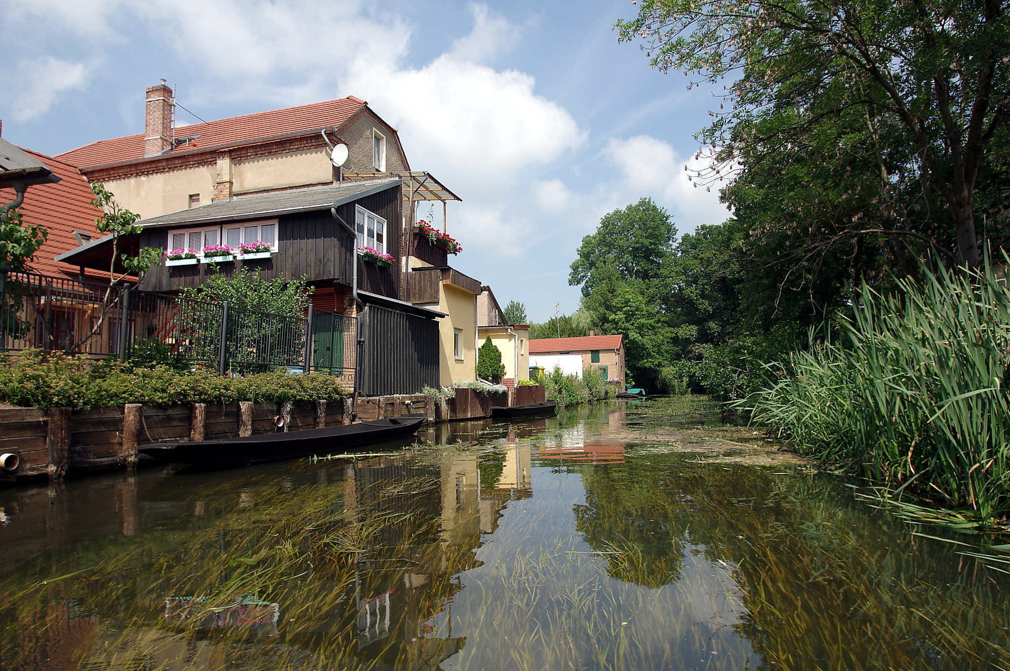 Pentax K-3 sample photo. Spreewald photography