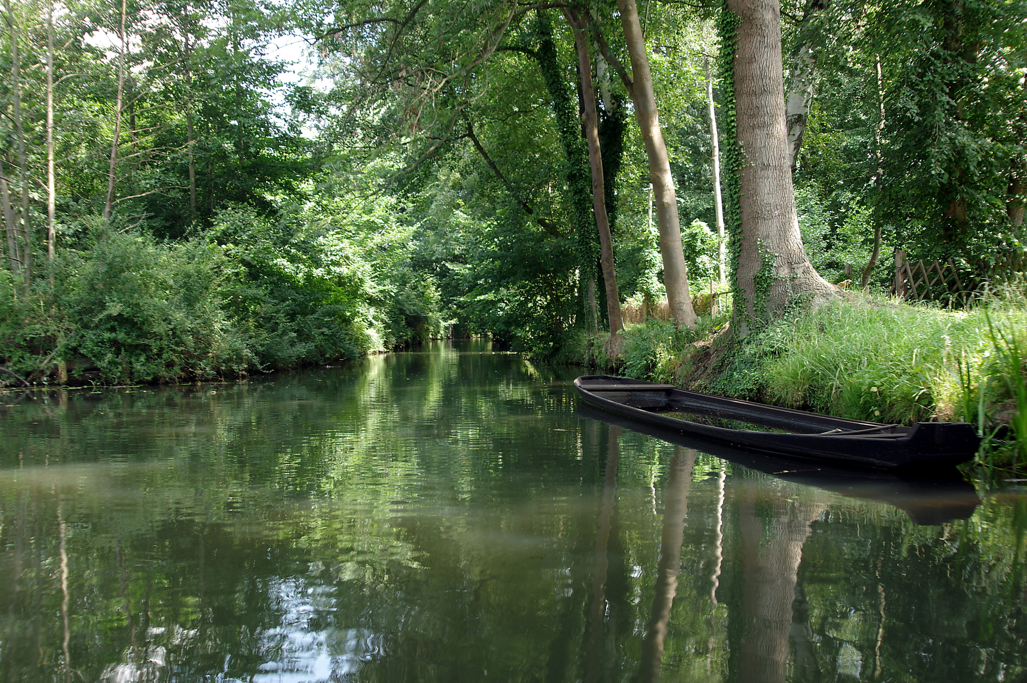 Pentax K-3 sample photo. Spreewald iii photography