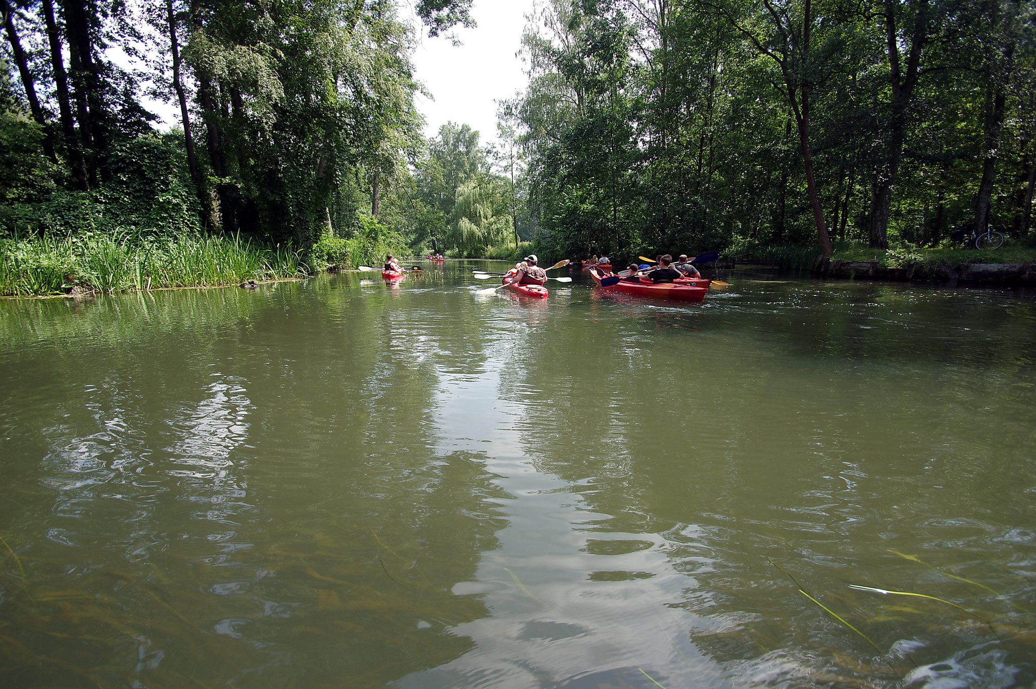 Pentax K-3 sample photo. Spreewald iv photography