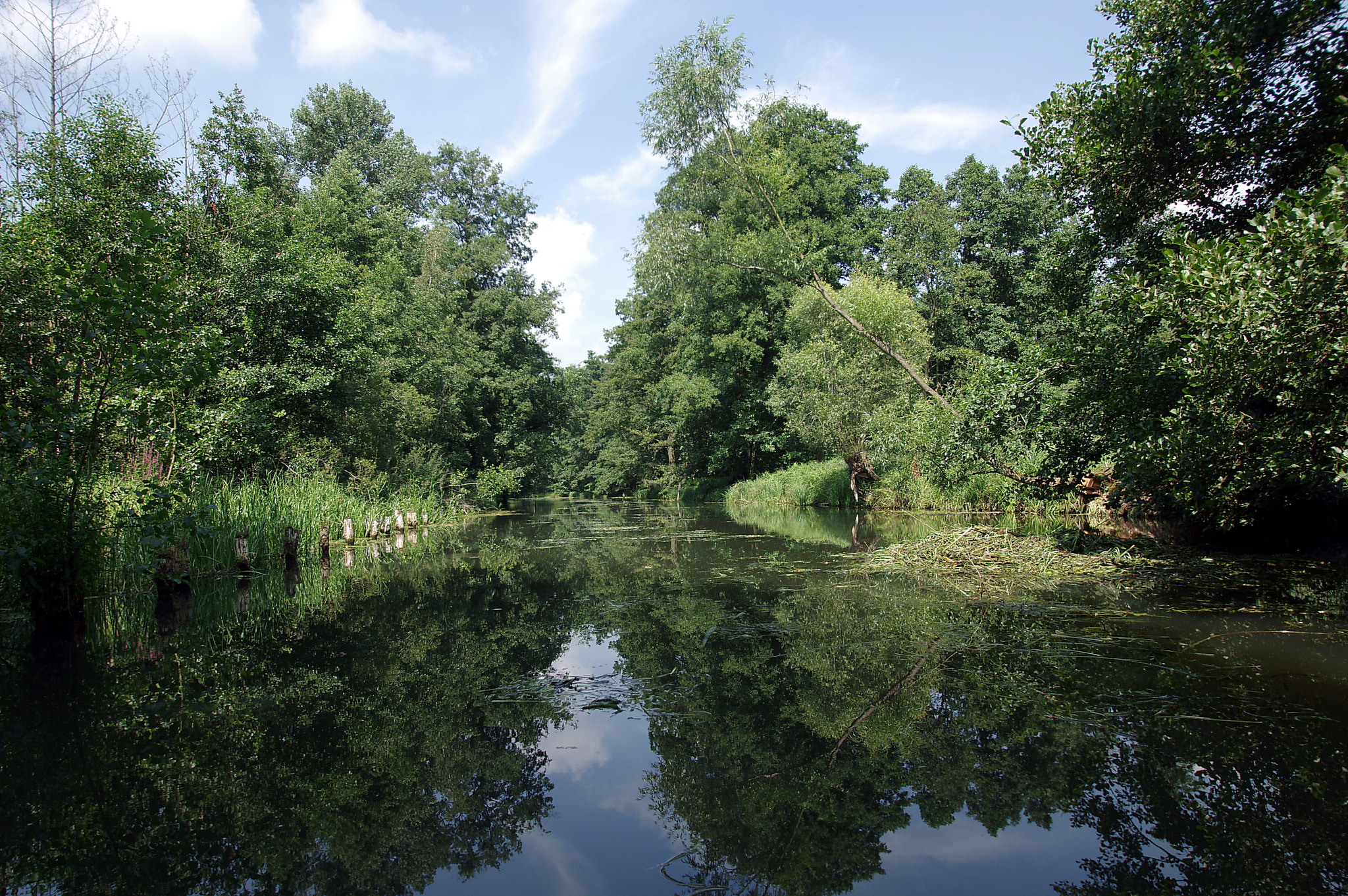 Pentax K-3 sample photo. Spreewald v photography