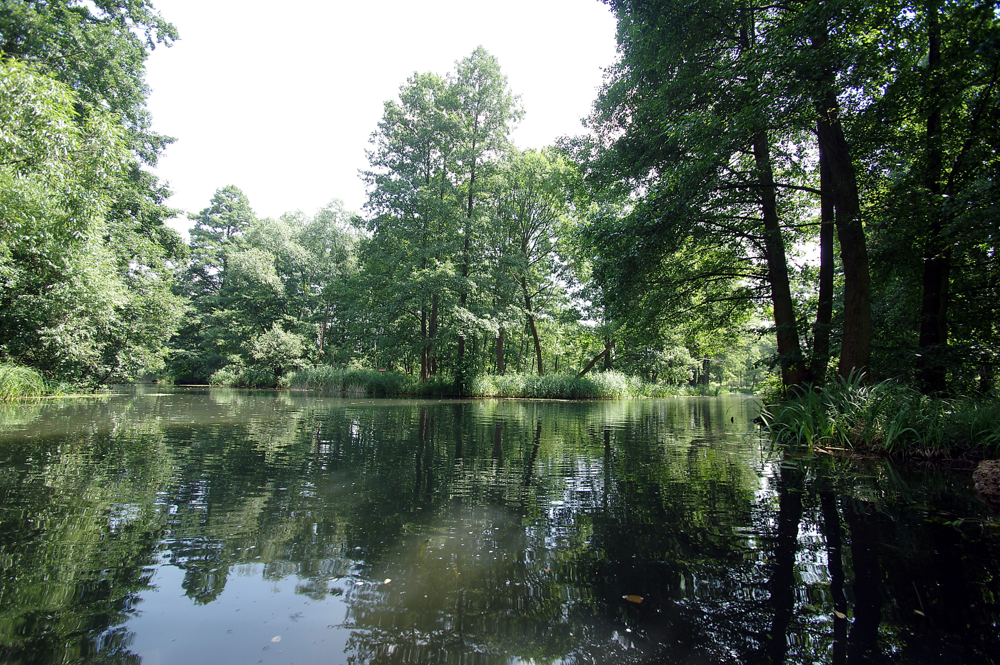 Pentax K-3 sample photo. Spreewald vii photography