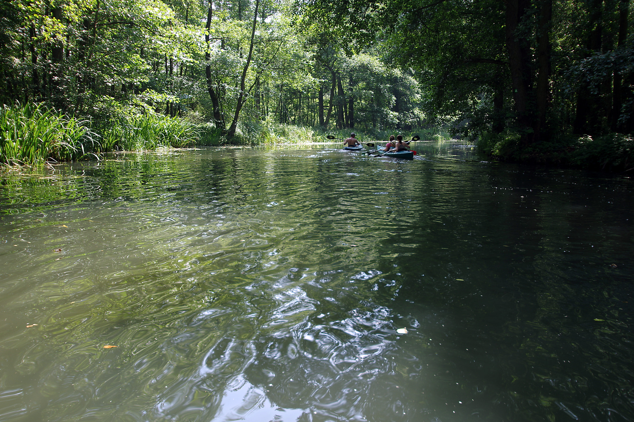 Pentax K-3 sample photo. Spreewald viii photography