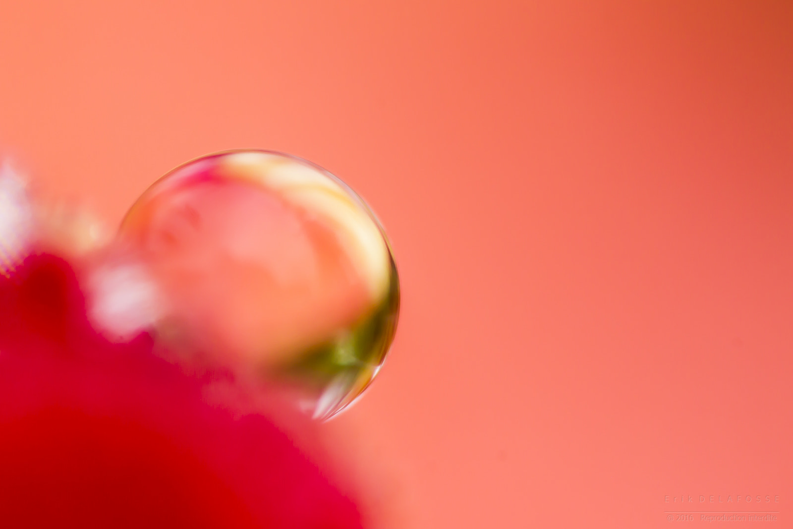 Canon MP-E 65mm F2.5 1-5x Macro Photo sample photo. Water drop photography