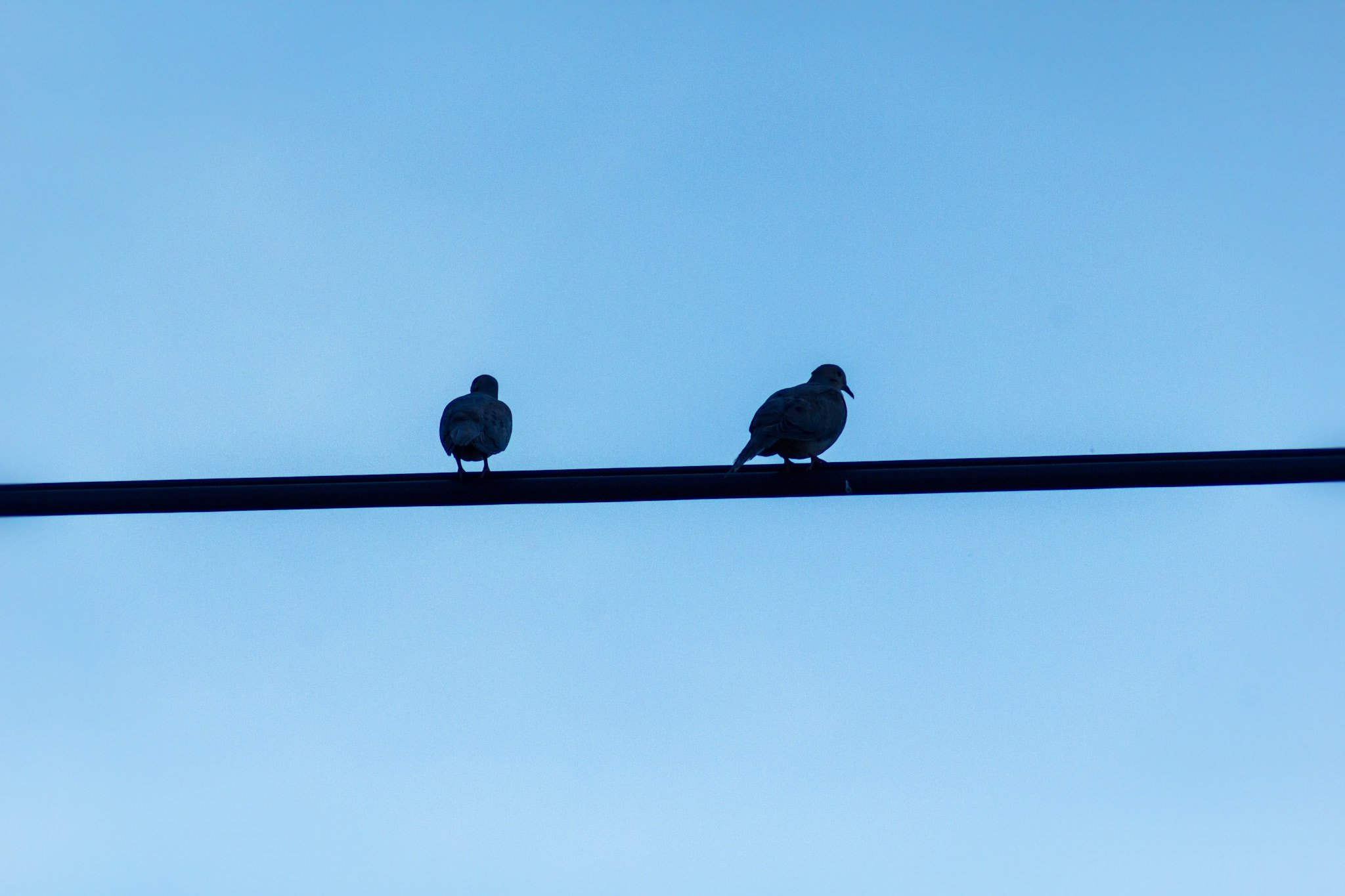 Canon EF 75-300mm f/4-5.6 USM sample photo. Friends in blue photography