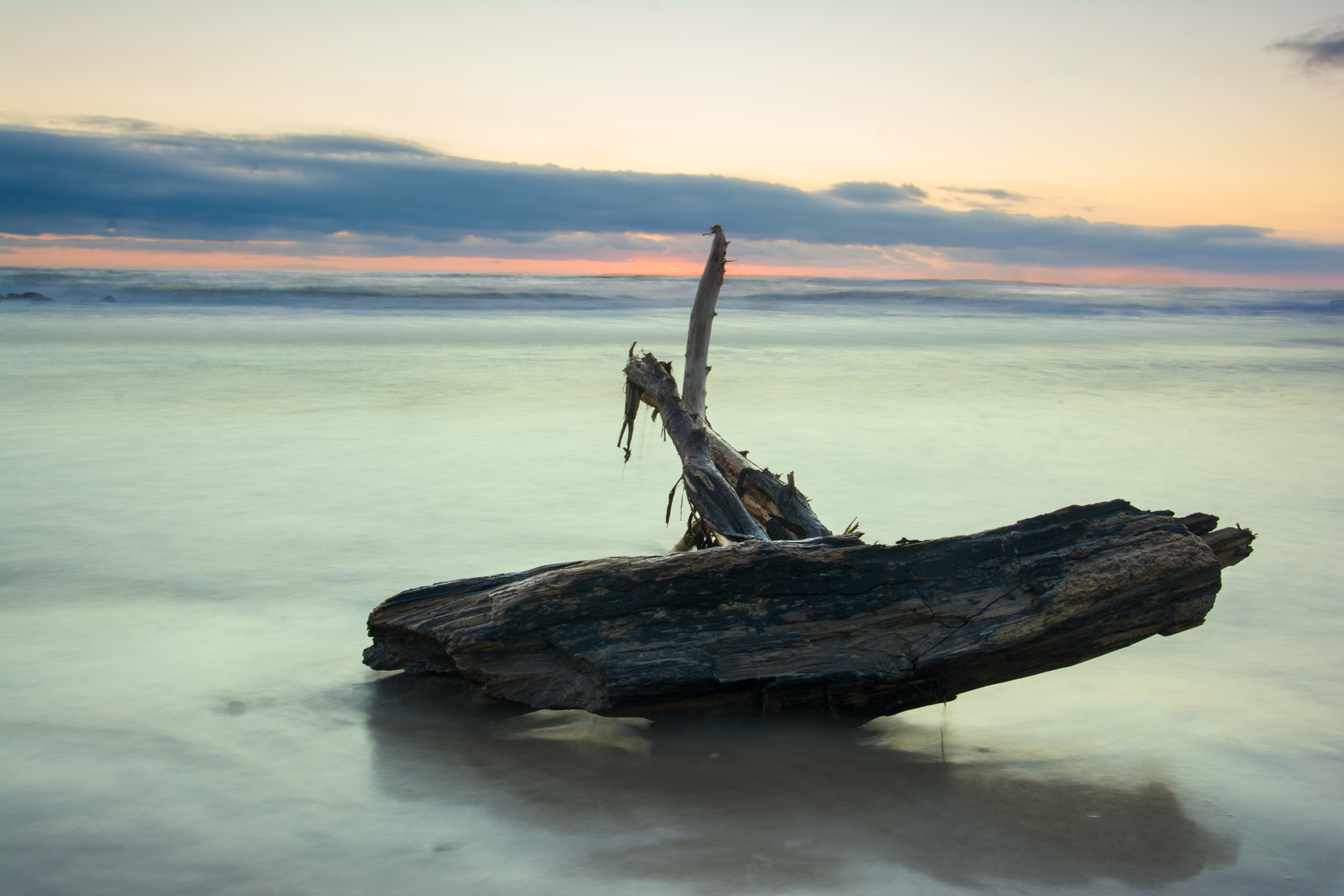 Nikon D7100 + Nikon AF-S Nikkor 20mm F1.8G ED sample photo. Dead wood photography