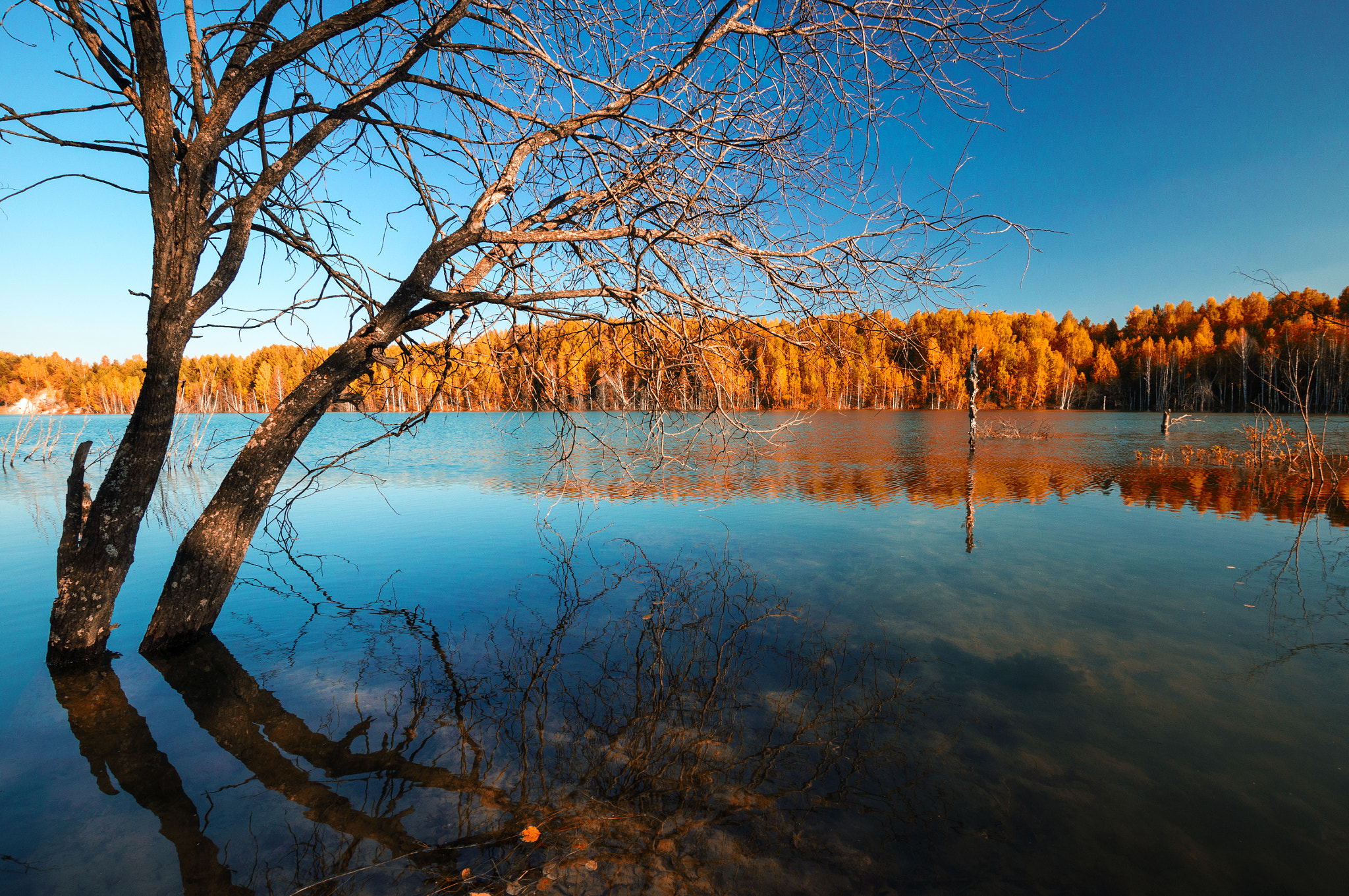 Sony Alpha DSLR-A580 + Sigma 10-20mm F3.5 EX DC HSM sample photo. Autumn walk photography