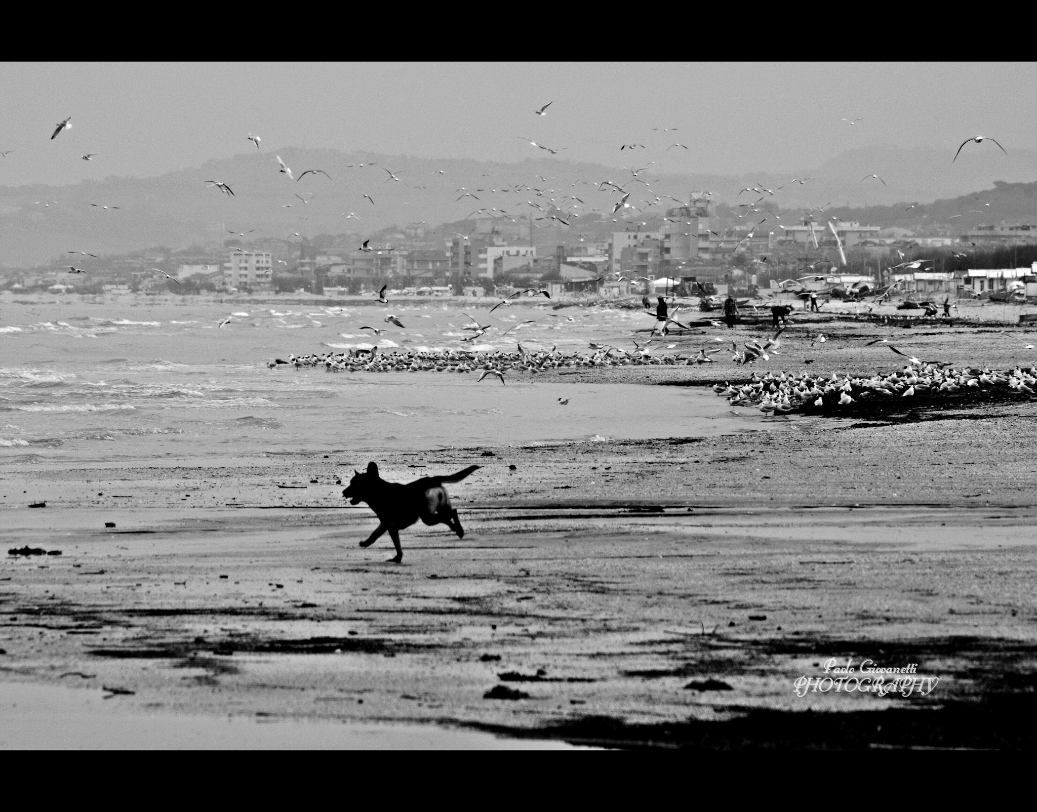 Sigma 70-300mm F4-5.6 APO DG Macro sample photo. Senigallia il mare photography