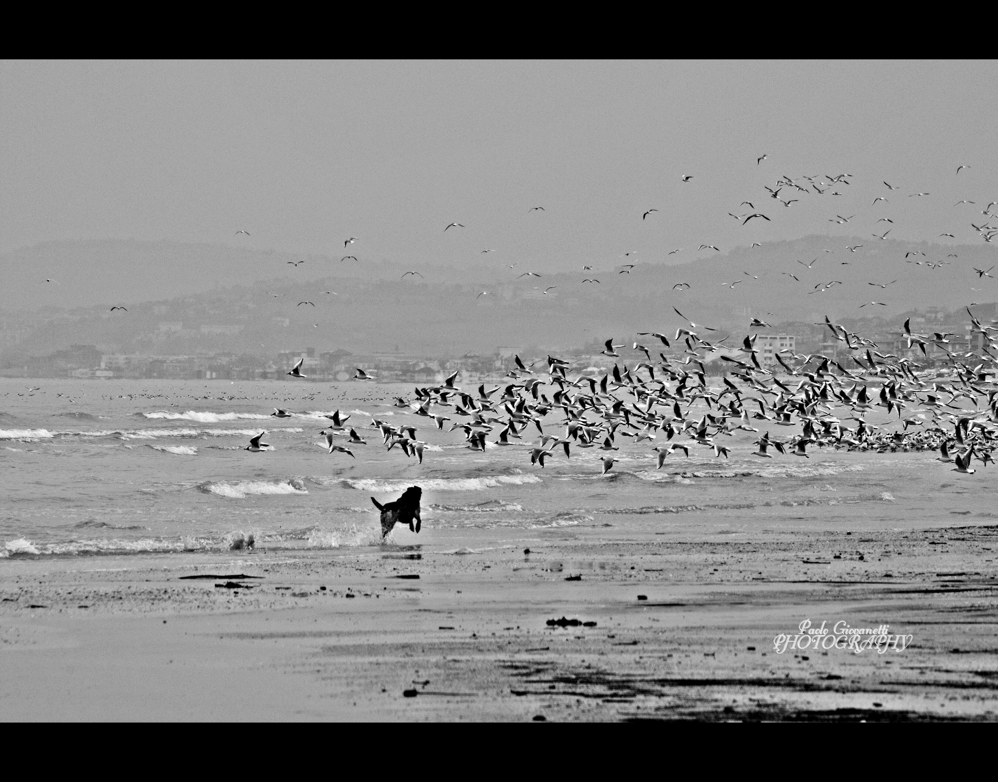 Sigma 70-300mm F4-5.6 APO DG Macro sample photo. Senigallia il mare photography
