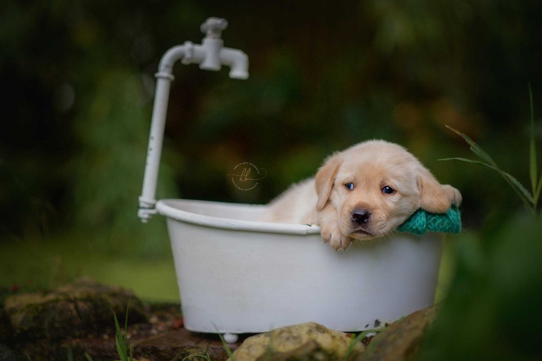 Nikon D4 + Nikon AF-S Nikkor 85mm F1.8G sample photo. Time for a bath photography