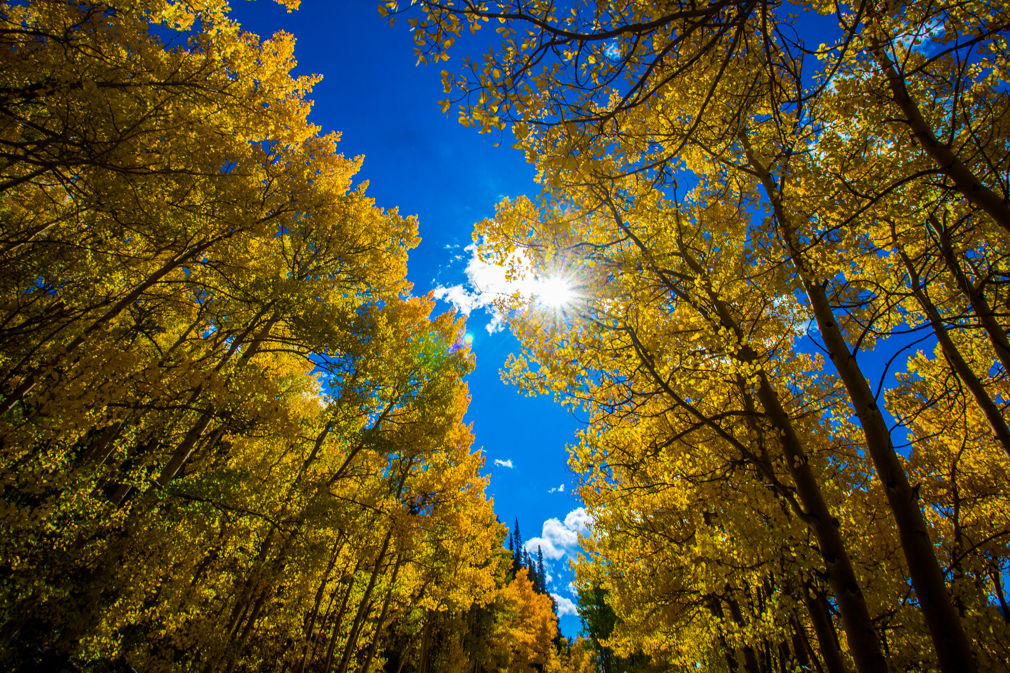 Canon EOS M sample photo. Fall colors photography