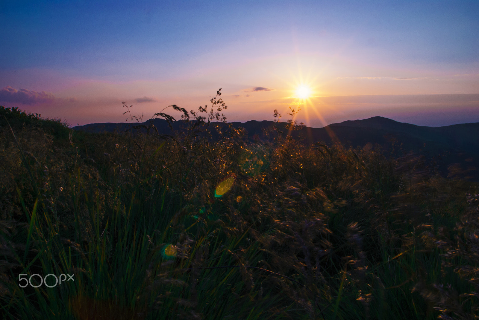 Nikon D60 sample photo. Valley photography