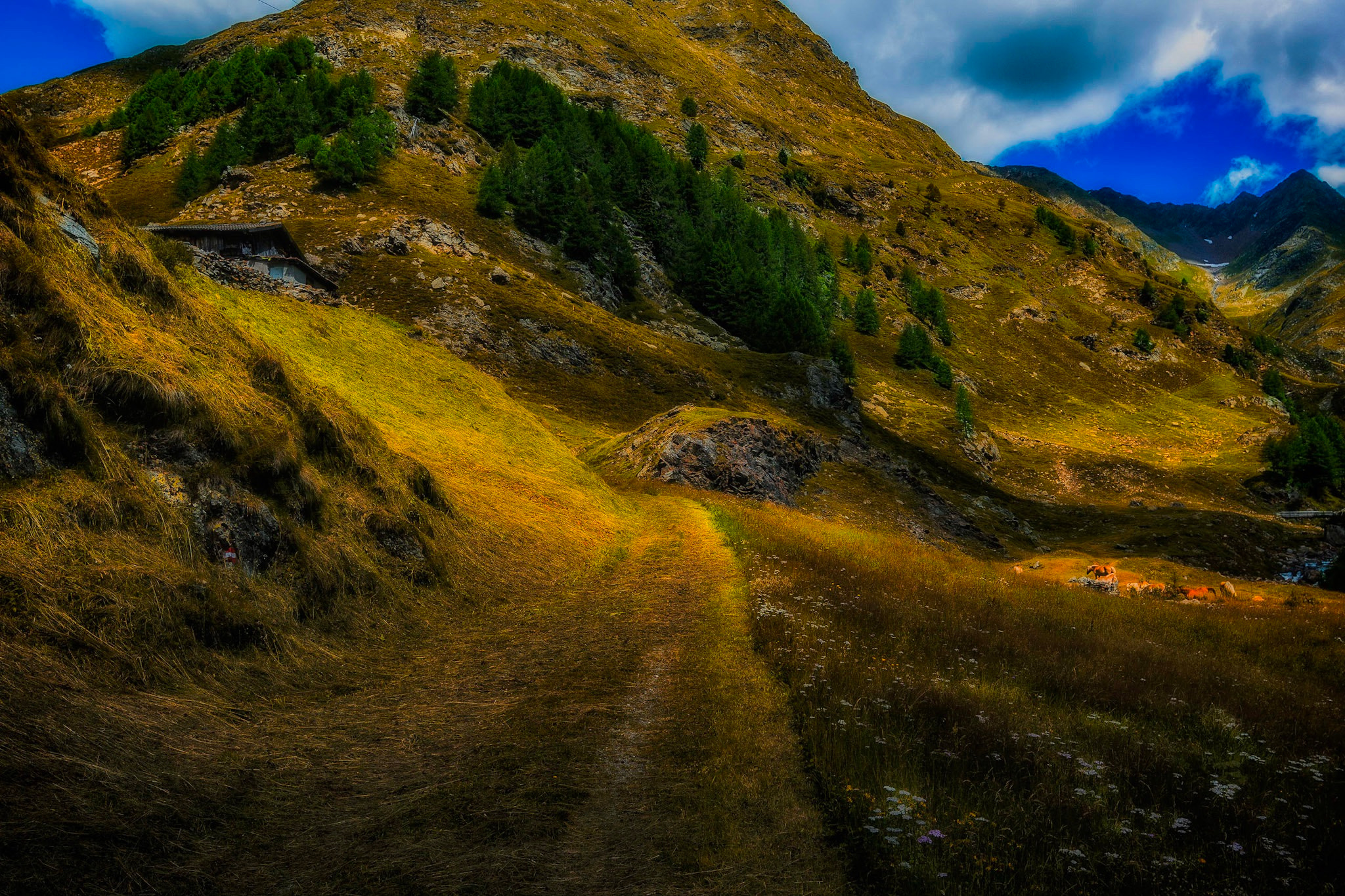 Tokina AT-X 11-20mm F2.8 PRO DX sample photo. Farmland in the mountains photography