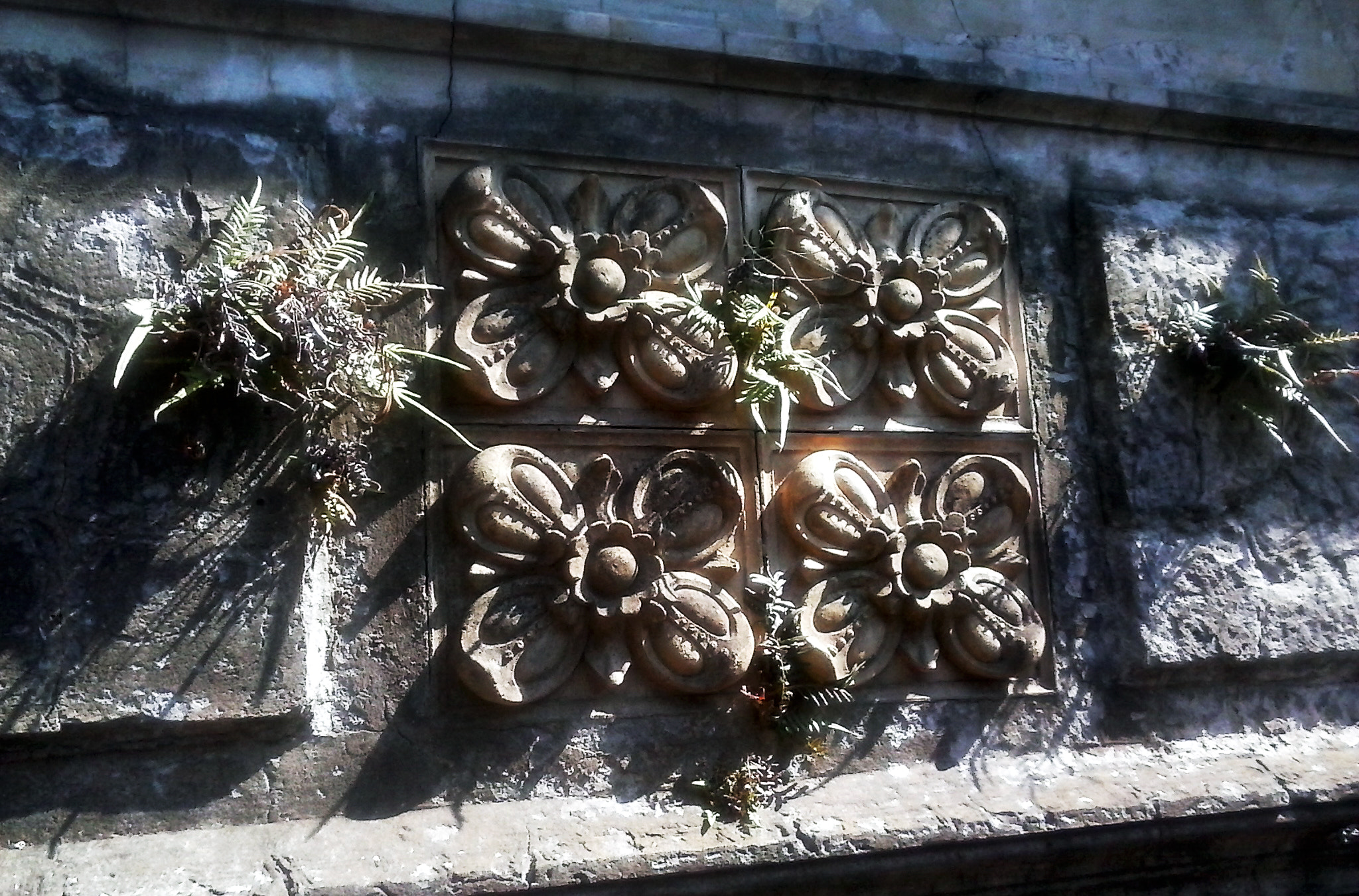 LG Optimus L40 sample photo. Naturales y artificiales photography