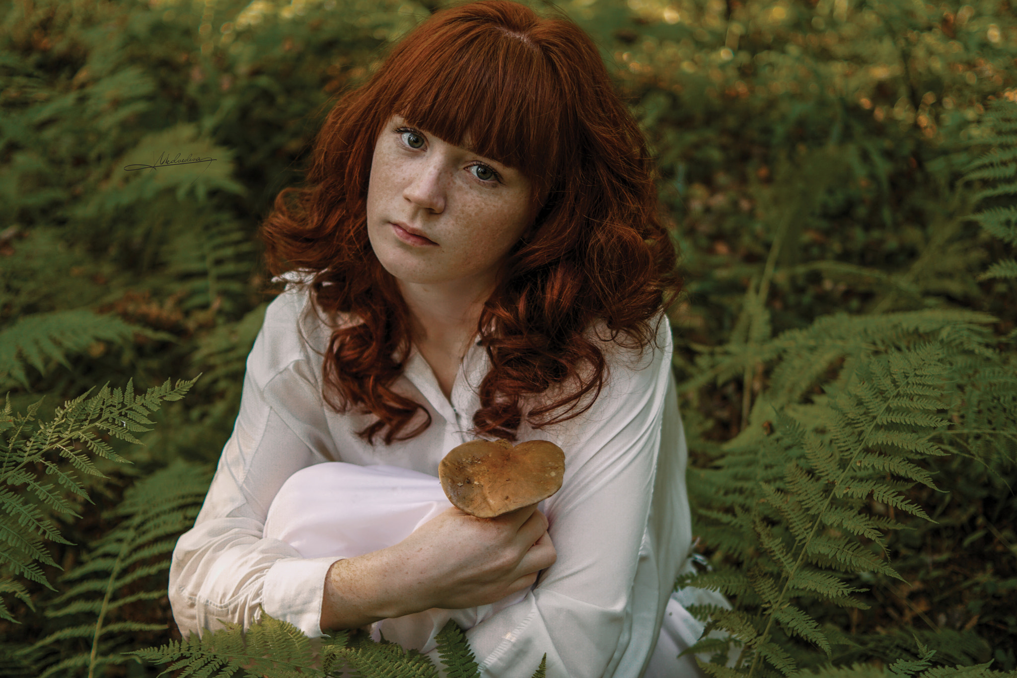 Sony ILCA-77M2 + Sony DT 35mm F1.8 SAM sample photo. Mushroom photography
