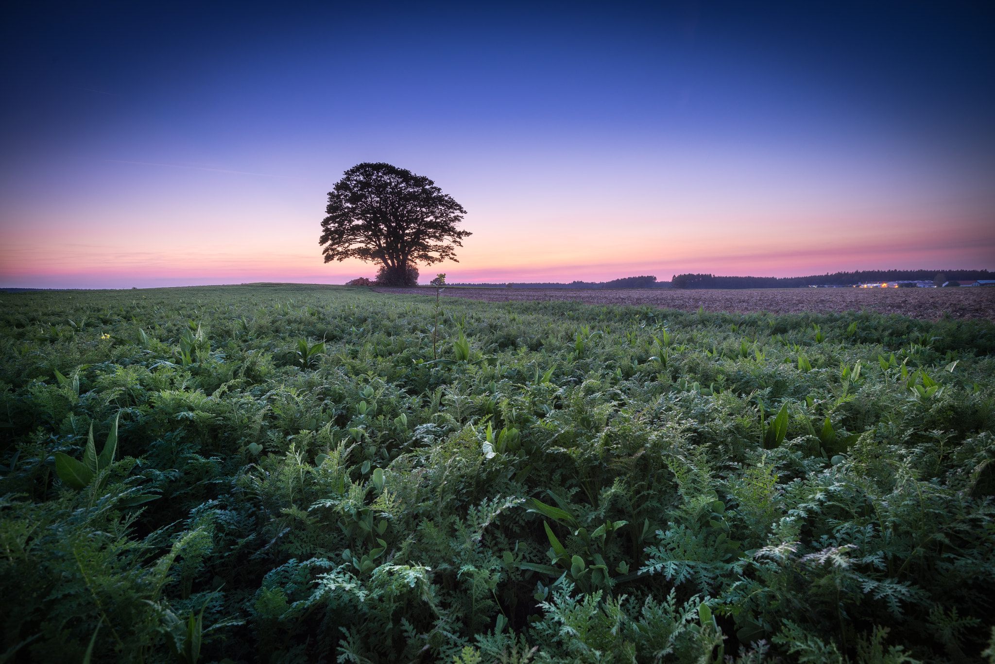 Sony a7R + Sony Vario-Sonnar T* 16-35mm F2.8 ZA SSM sample photo. Oberpframmern photography