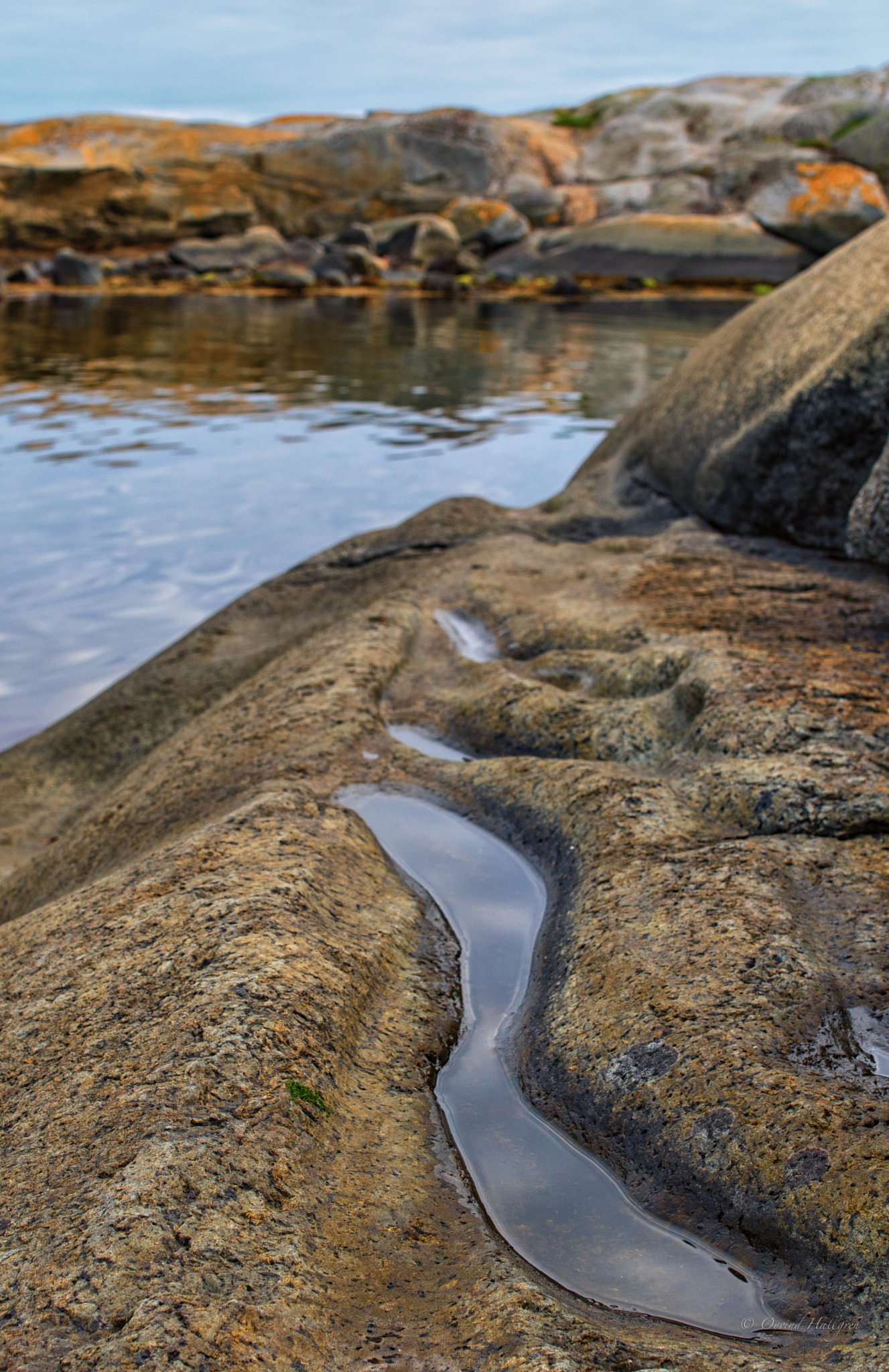 Sigma 35mm F1.4 DG HSM Art sample photo. Reflections in stone photography