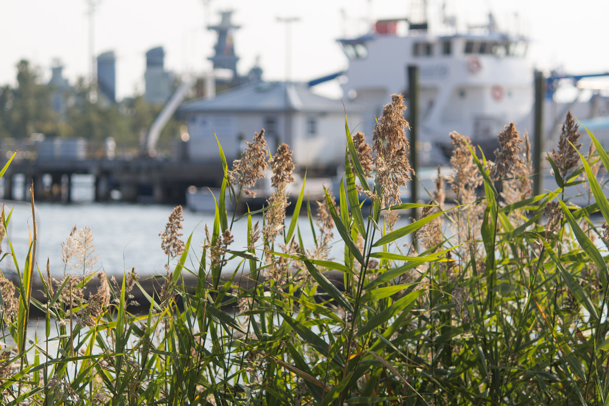 Canon EOS 100D (EOS Rebel SL1 / EOS Kiss X7) sample photo. Downtown exploration | wilmington | nc photography