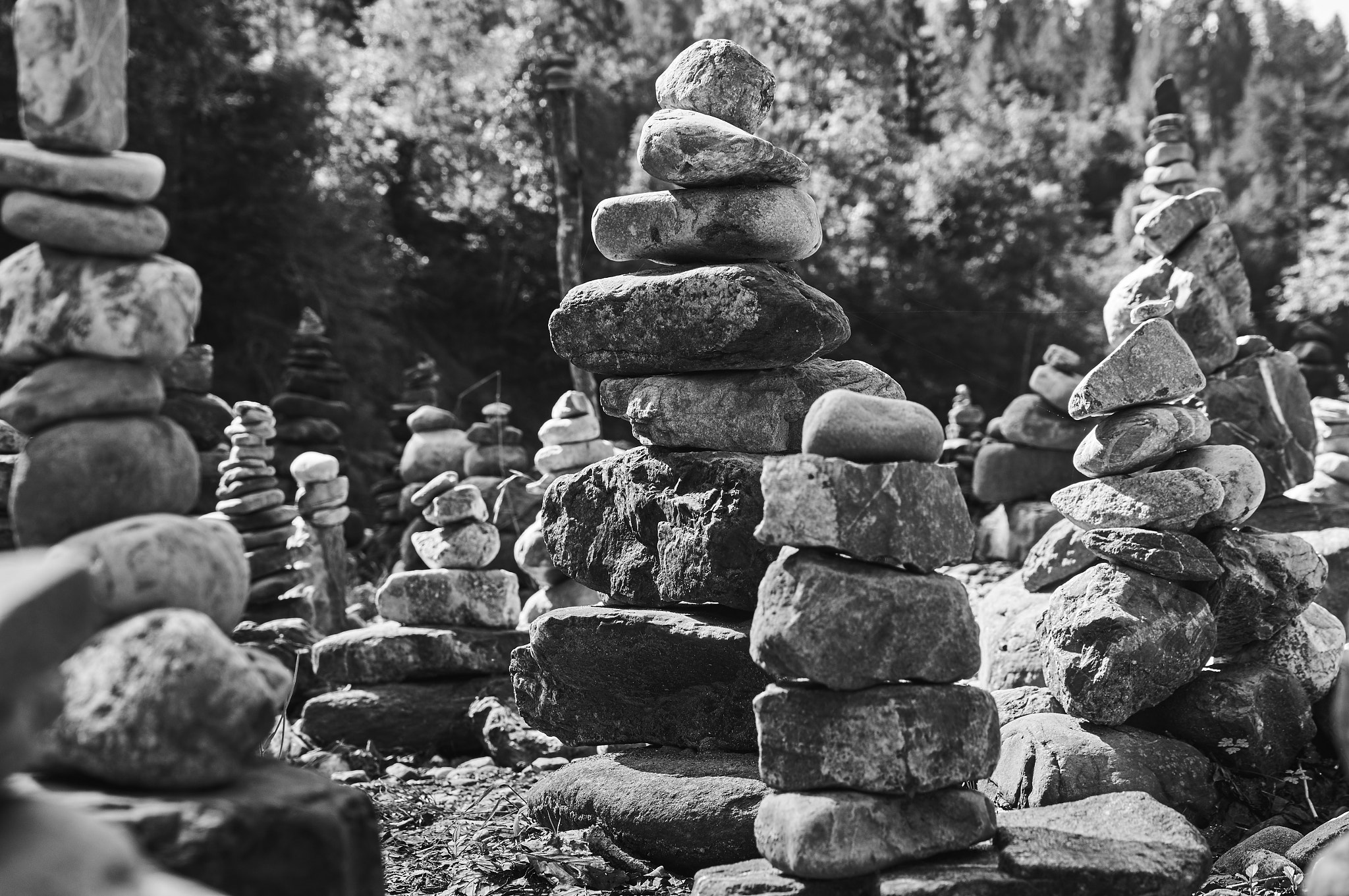 Sony SLT-A57 + DT 17-50mm F2.8 sample photo. Stonesculpture @ breitachklamm photography