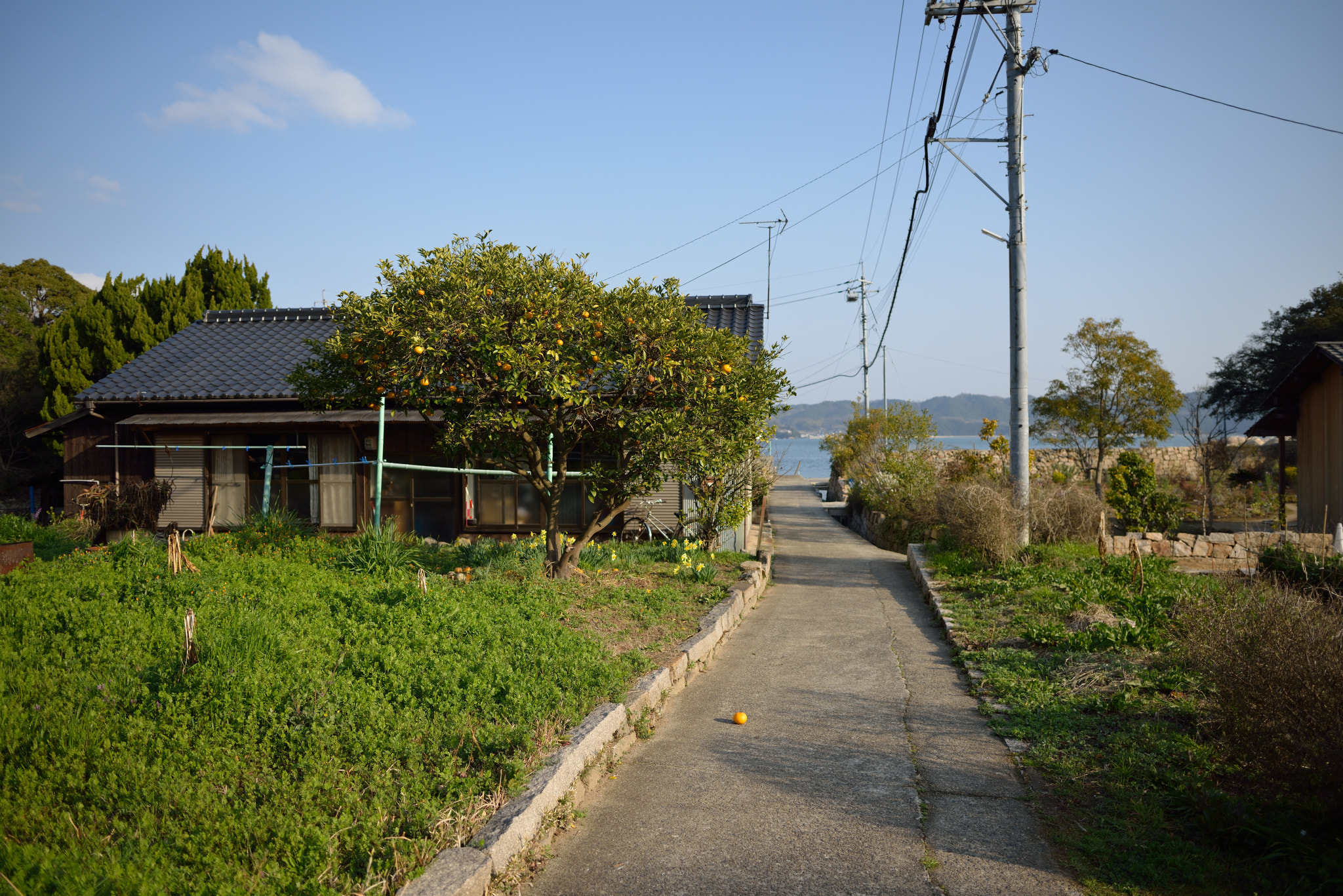 Nikon D800 + Nikon AF-S Nikkor 24mm F1.8G ED sample photo. Inujima photography