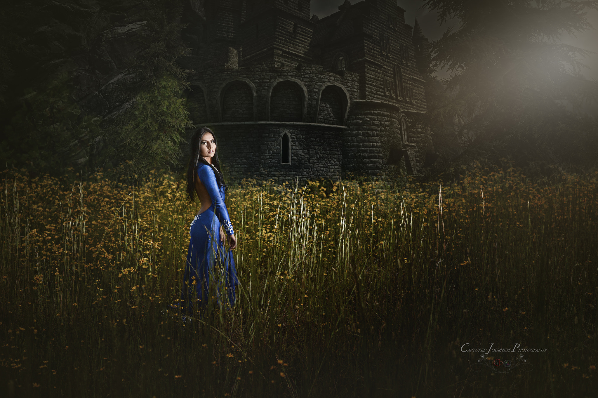 Nikon D4 + Nikon AF-S Nikkor 50mm F1.4G sample photo. The blue dress photography