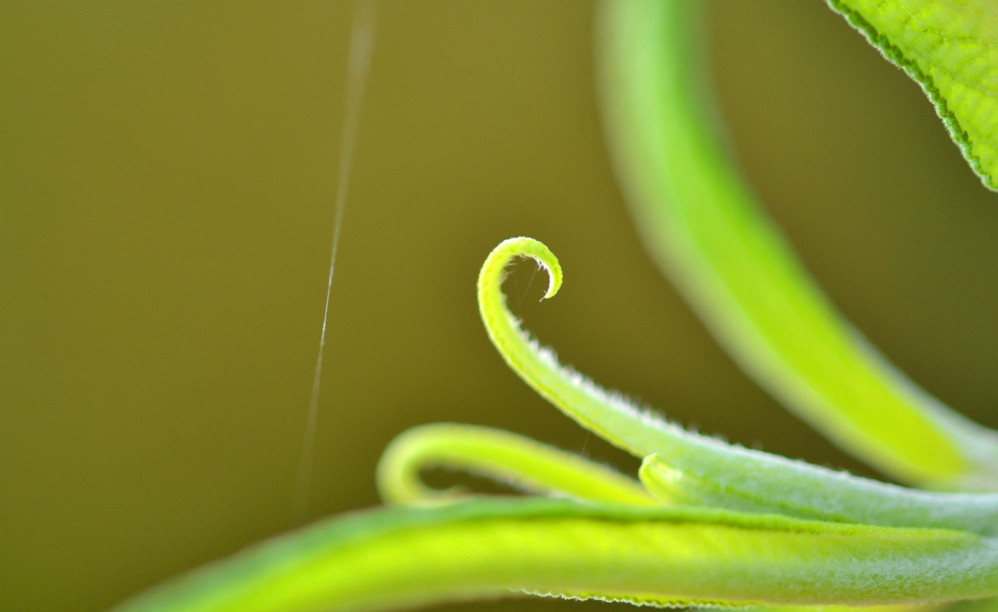 Sigma 105mm F2.8 EX DG OS HSM sample photo. @ photography