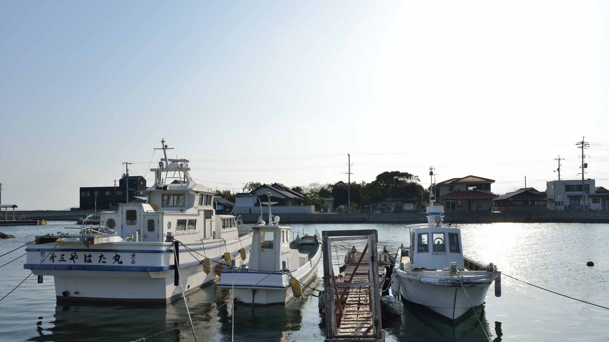 Nikon D800 + Nikon AF-S Nikkor 24mm F1.8G ED sample photo. Inujima photography