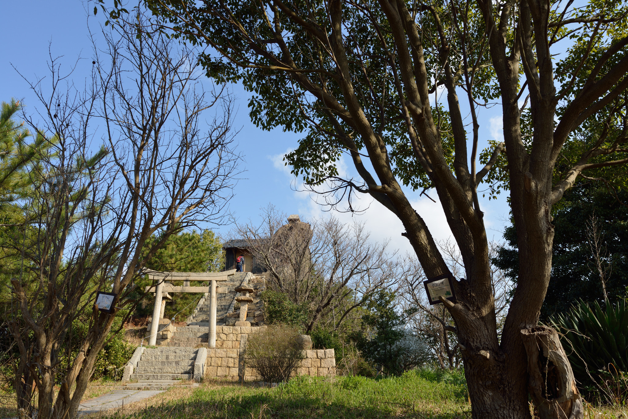 Nikon D800 + Nikon AF-S Nikkor 24mm F1.8G ED sample photo. Inujima photography