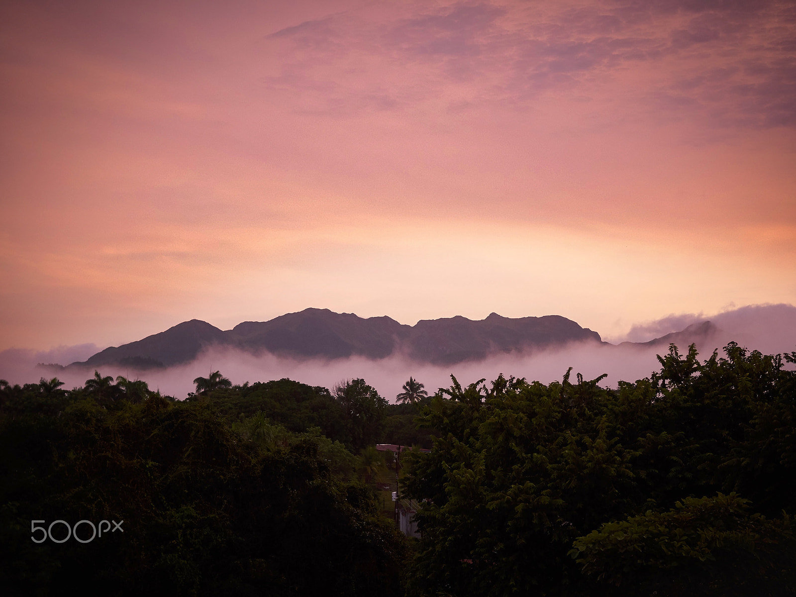 Olympus OM-D E-M1 + Olympus M.Zuiko Digital 25mm F1.8 sample photo. Mountain in the mist photography