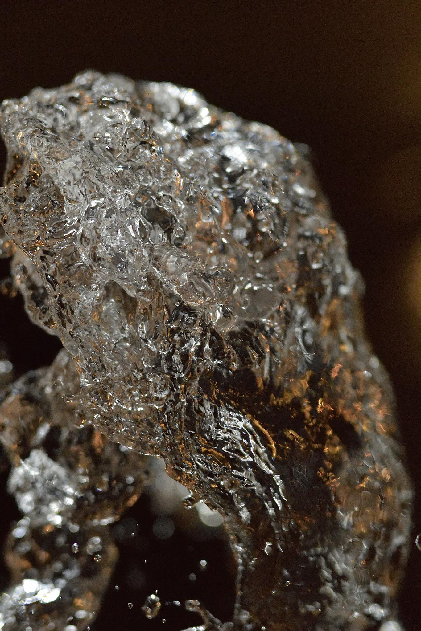 Nikon D500 + Sigma 50mm F1.4 DG HSM Art sample photo. Joya acuosa photography