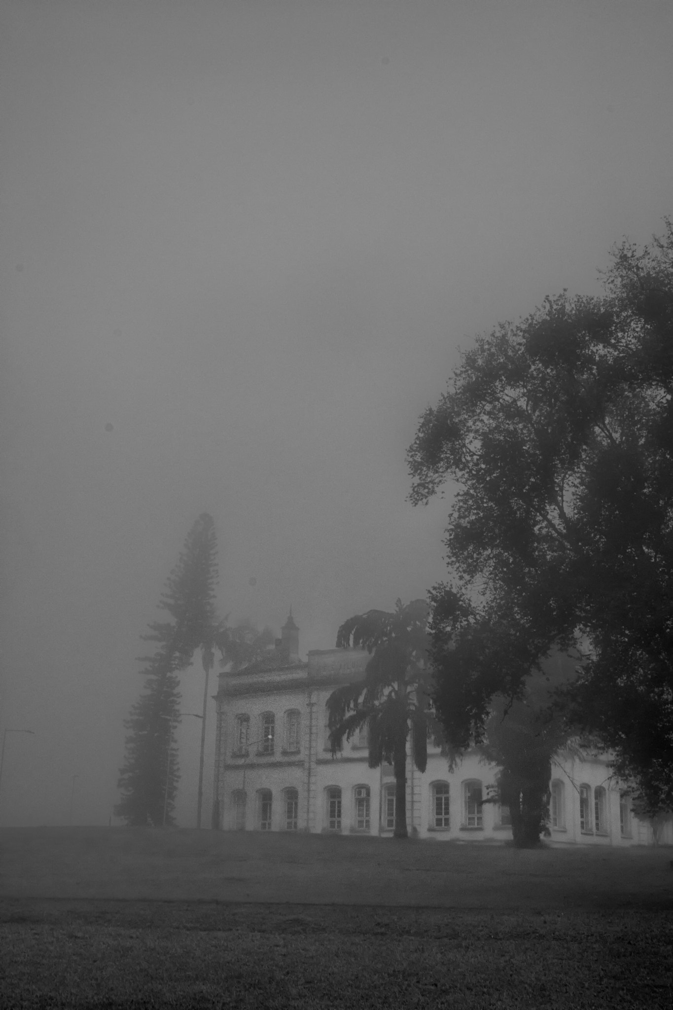 Nikon D5200 sample photo. Misty morning photography