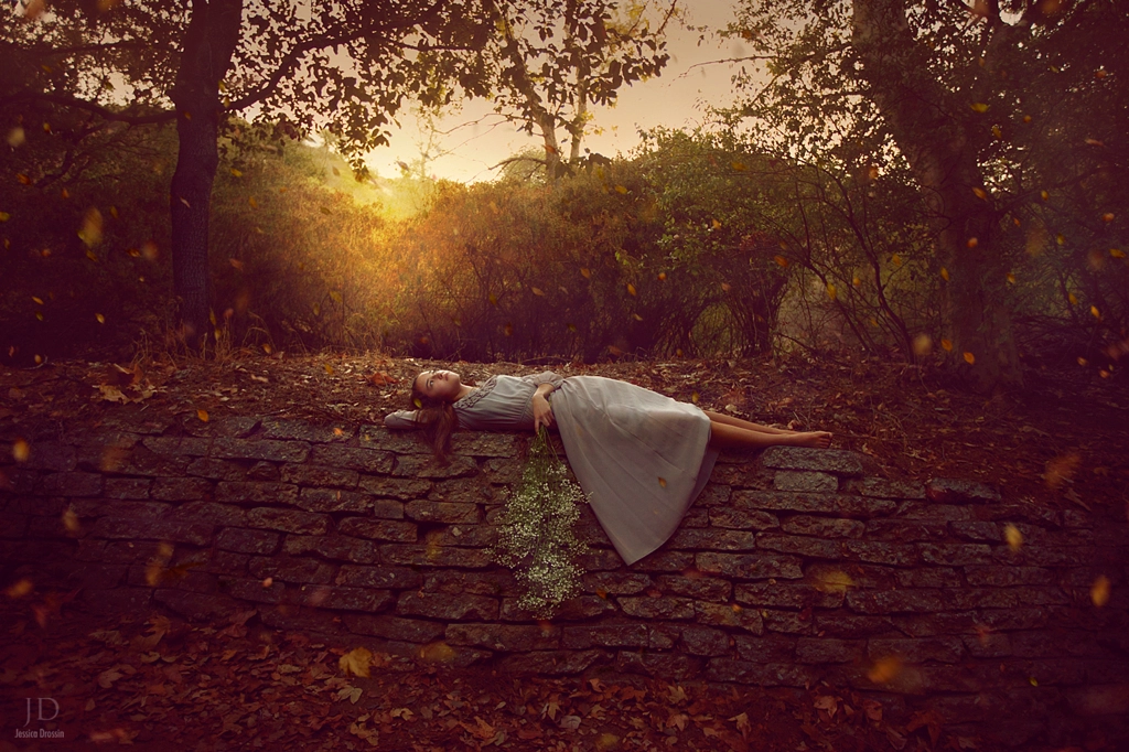 Falling Leaves by Jessica Drossin on 500px.com