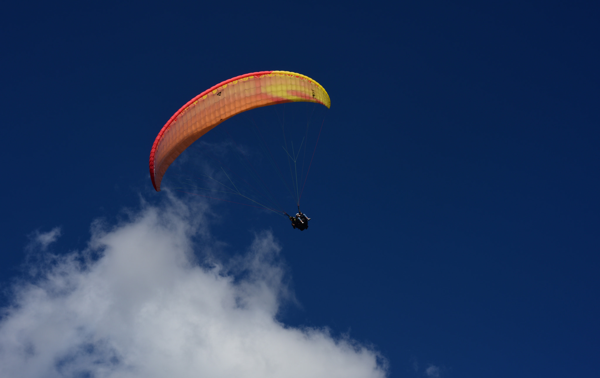 Nikon D810 + AF Zoom-Nikkor 35-70mm f/2.8D sample photo. Fly in the sky photography