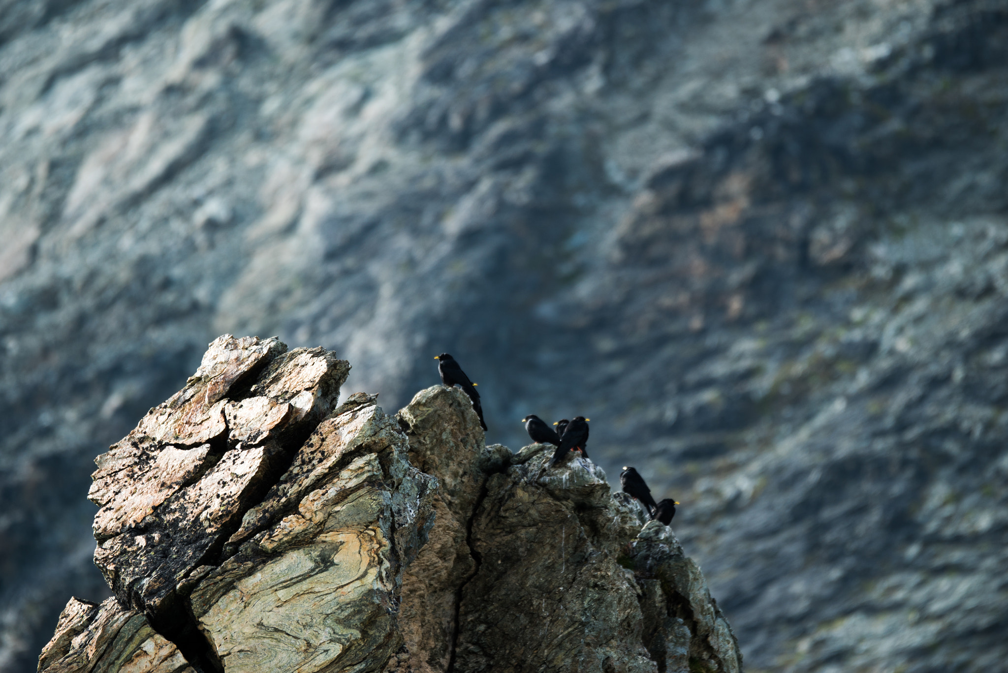 Sony 70-400mm F4-5.6 G SSM II sample photo. Souvenir from cabane tracuit photography